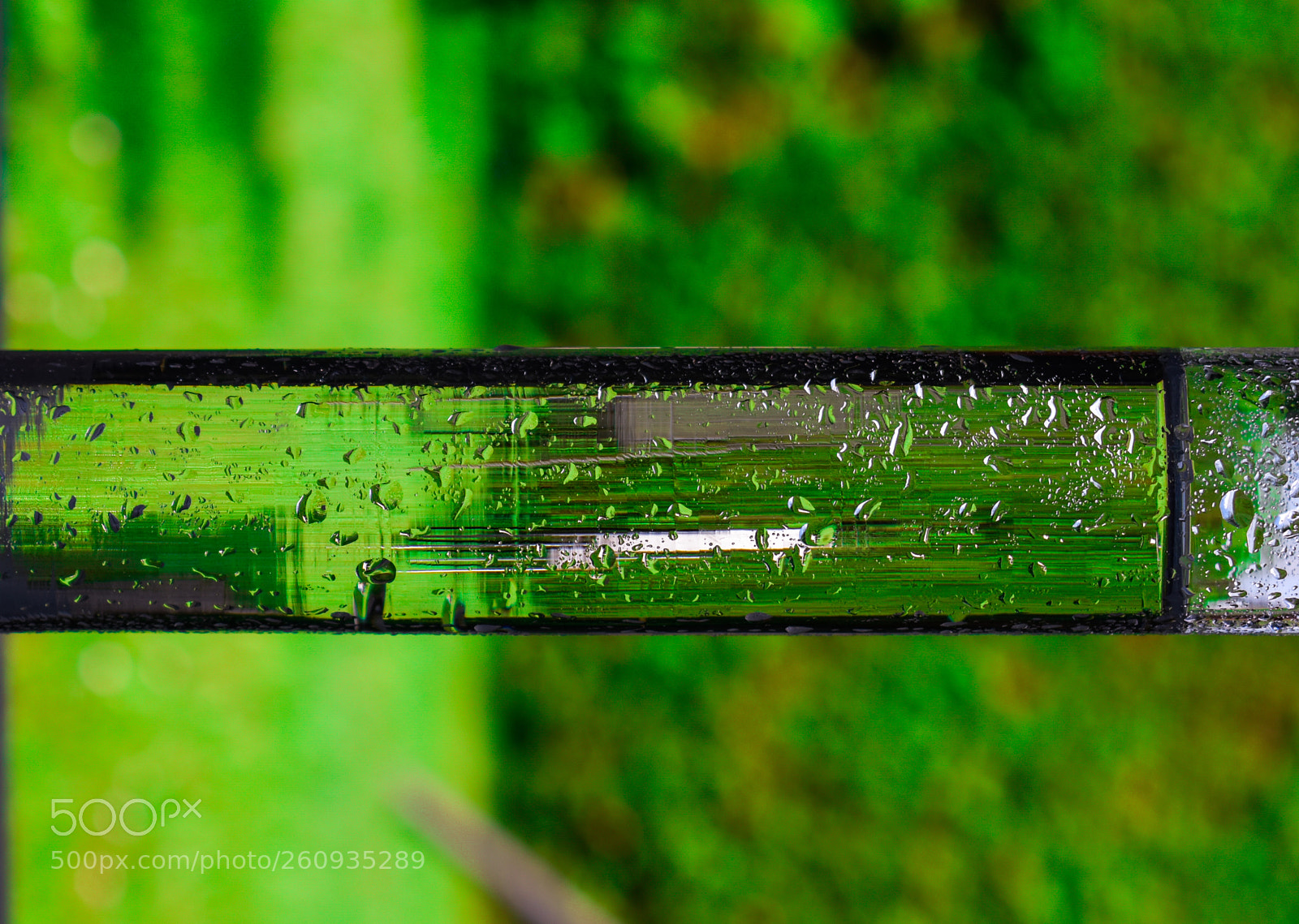 Nikon D5600 sample photo. Water things photography