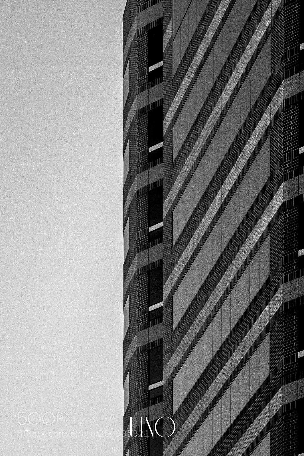 Canon EOS 60D sample photo. Lines photography