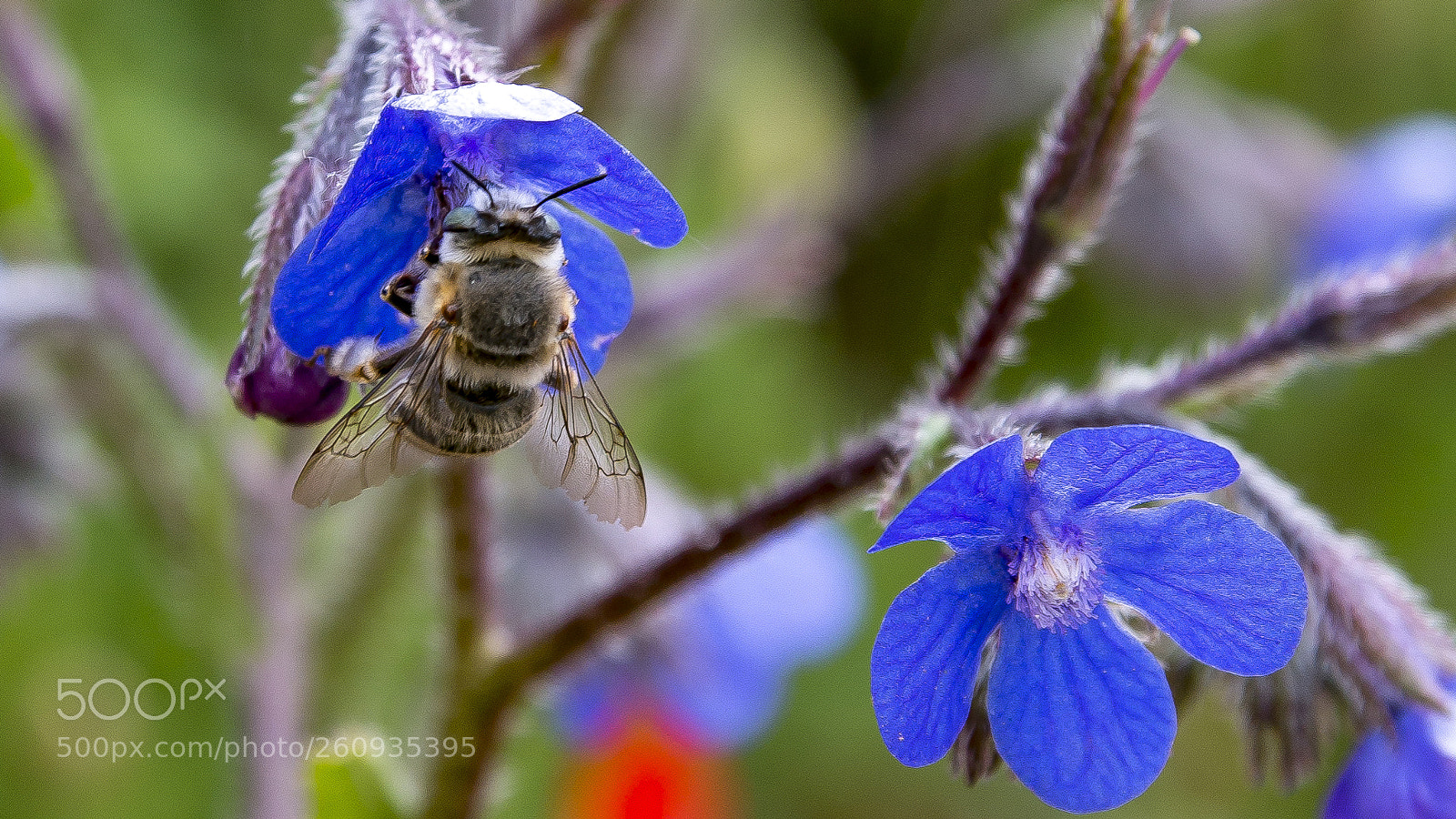 Canon EOS 70D sample photo. Untitled photography