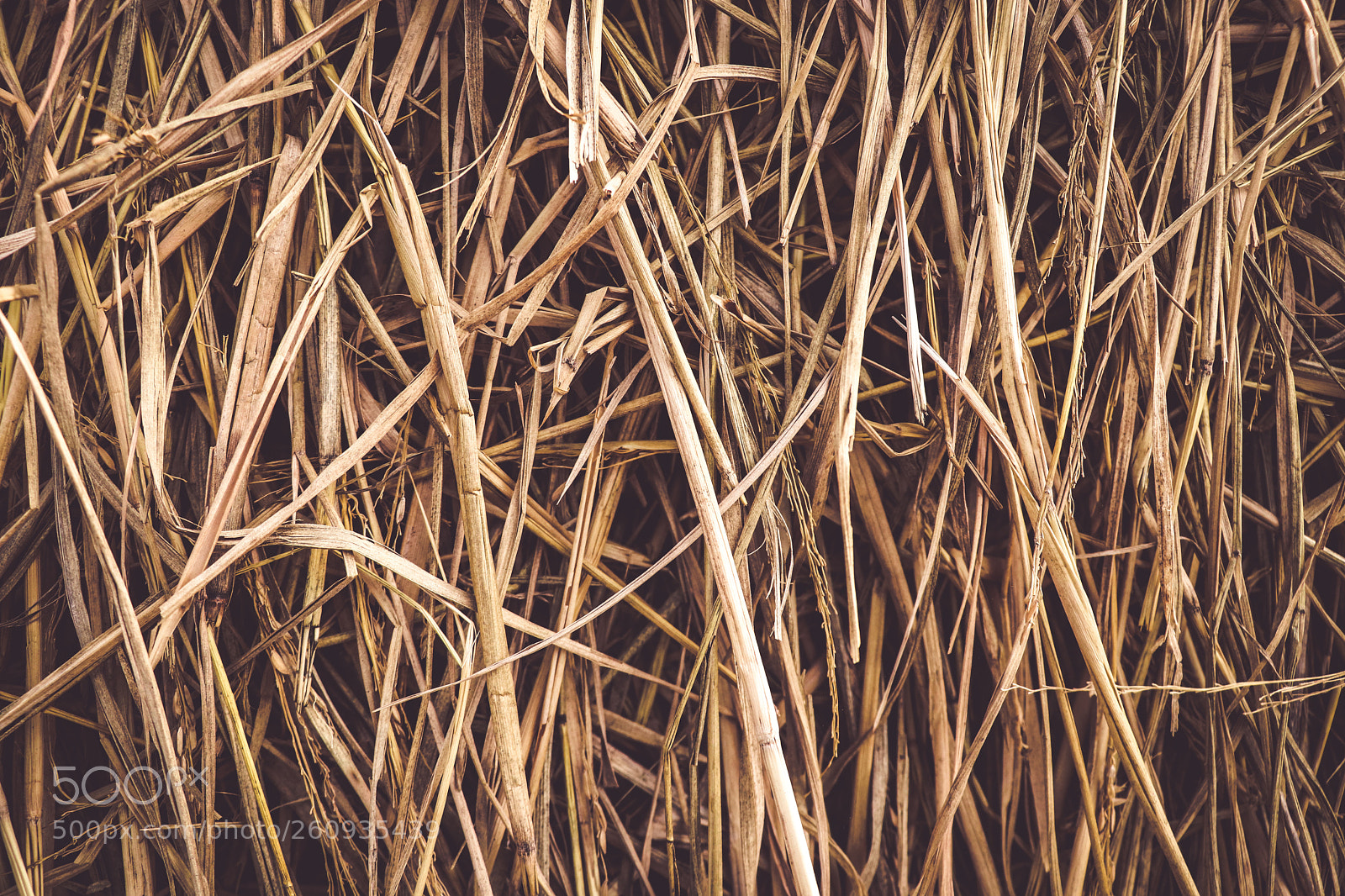Canon EOS 80D sample photo. The hay photography