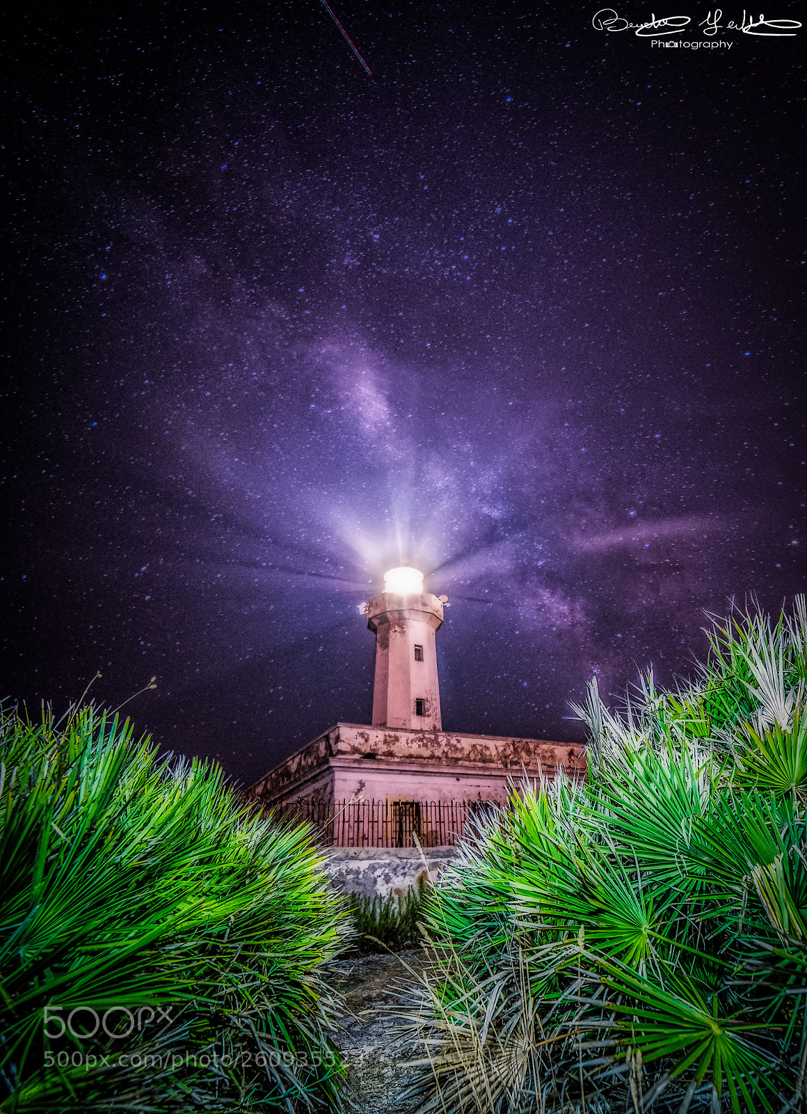 Nikon D610 sample photo. Milky photography