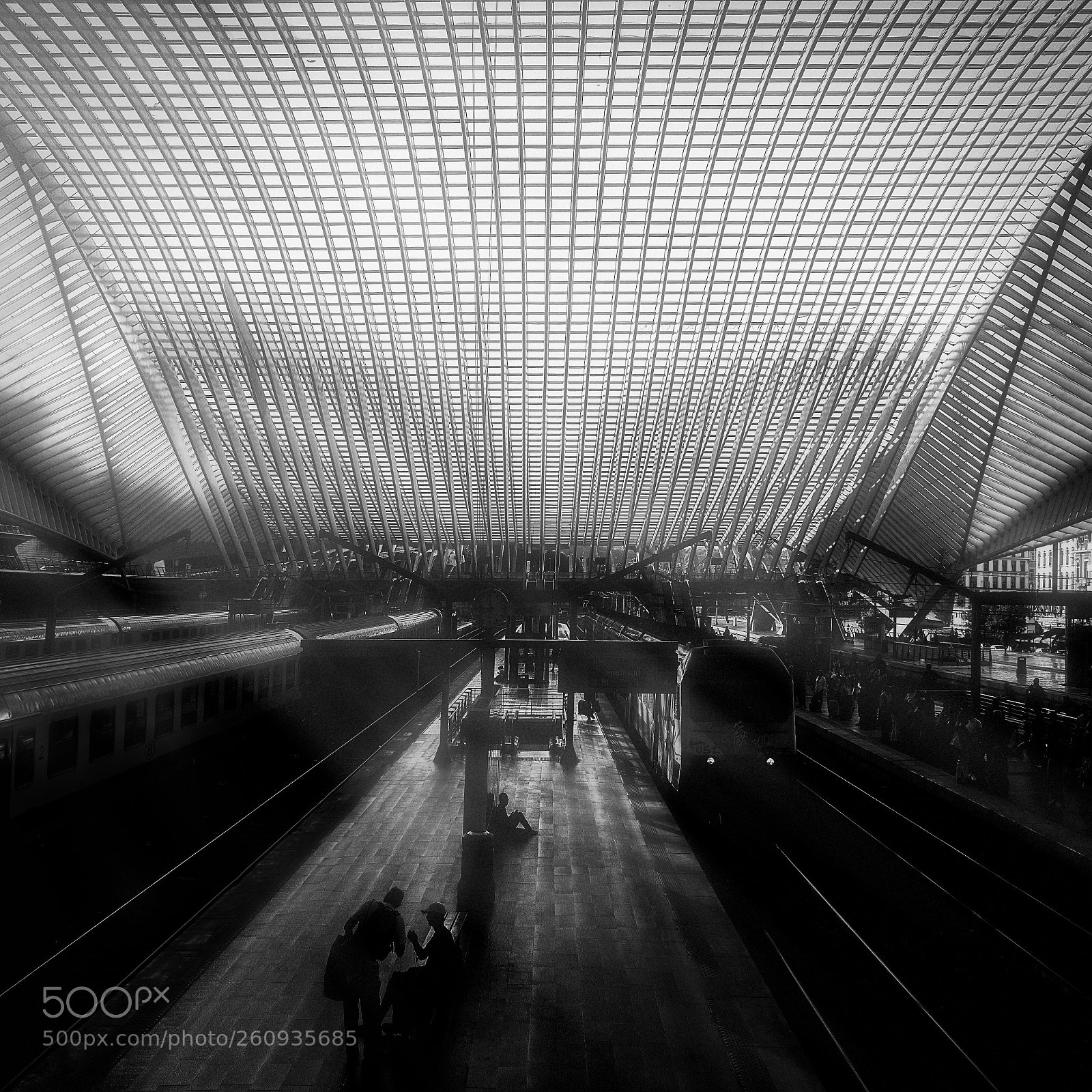 Sony a7R II sample photo. Liège-guillemins gare. photography