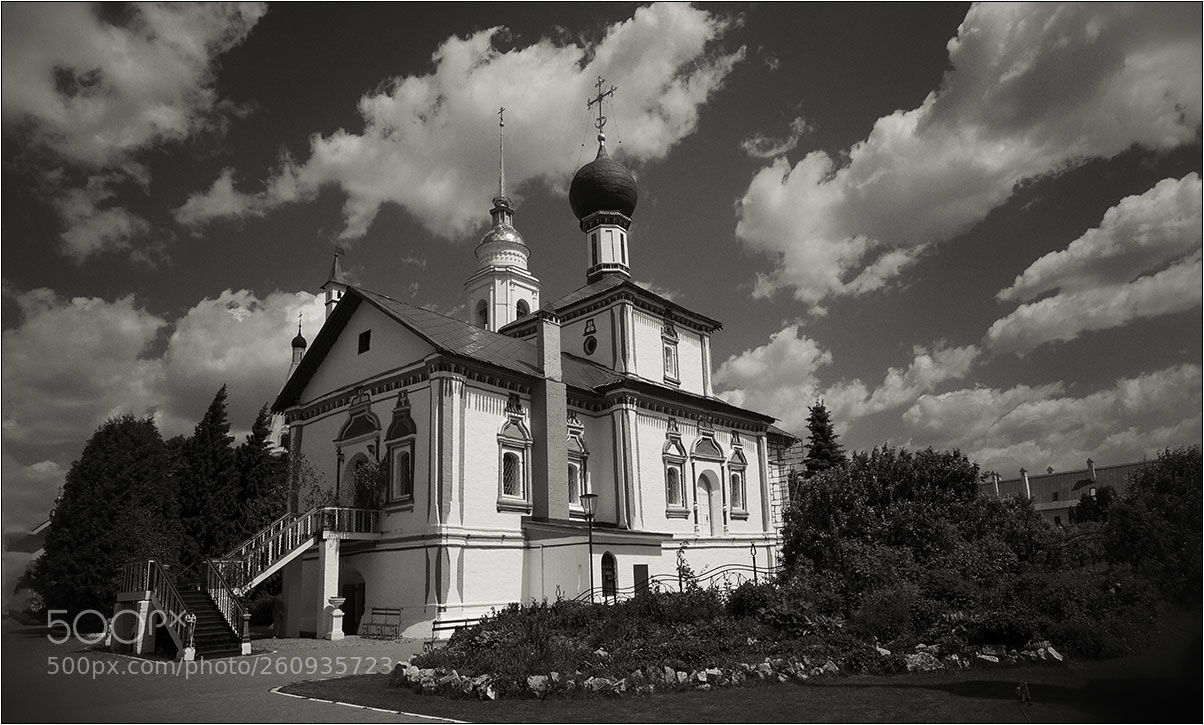 Nikon D850 sample photo. Kolomna photography