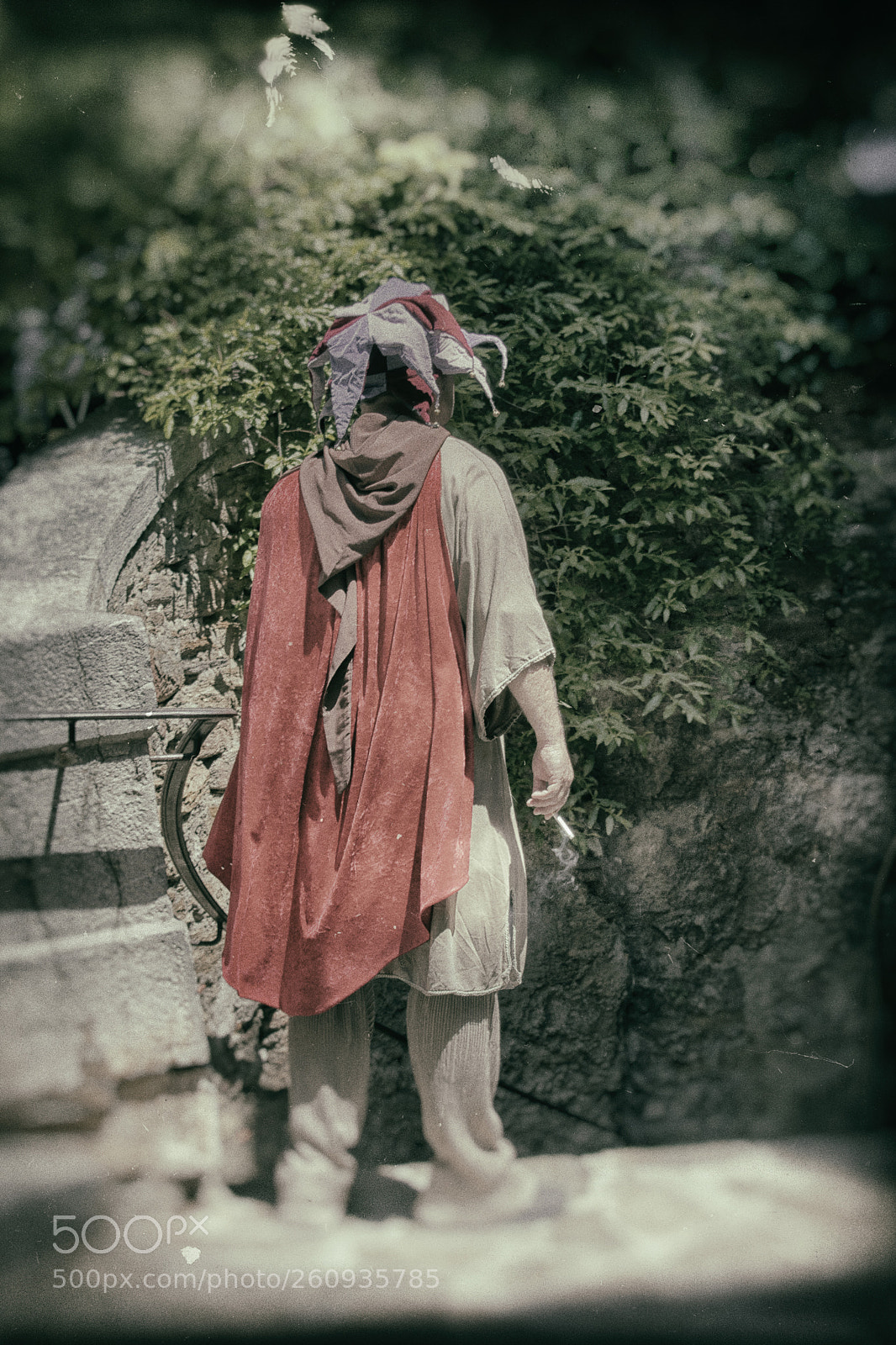 Nikon D5600 sample photo. Fool photography