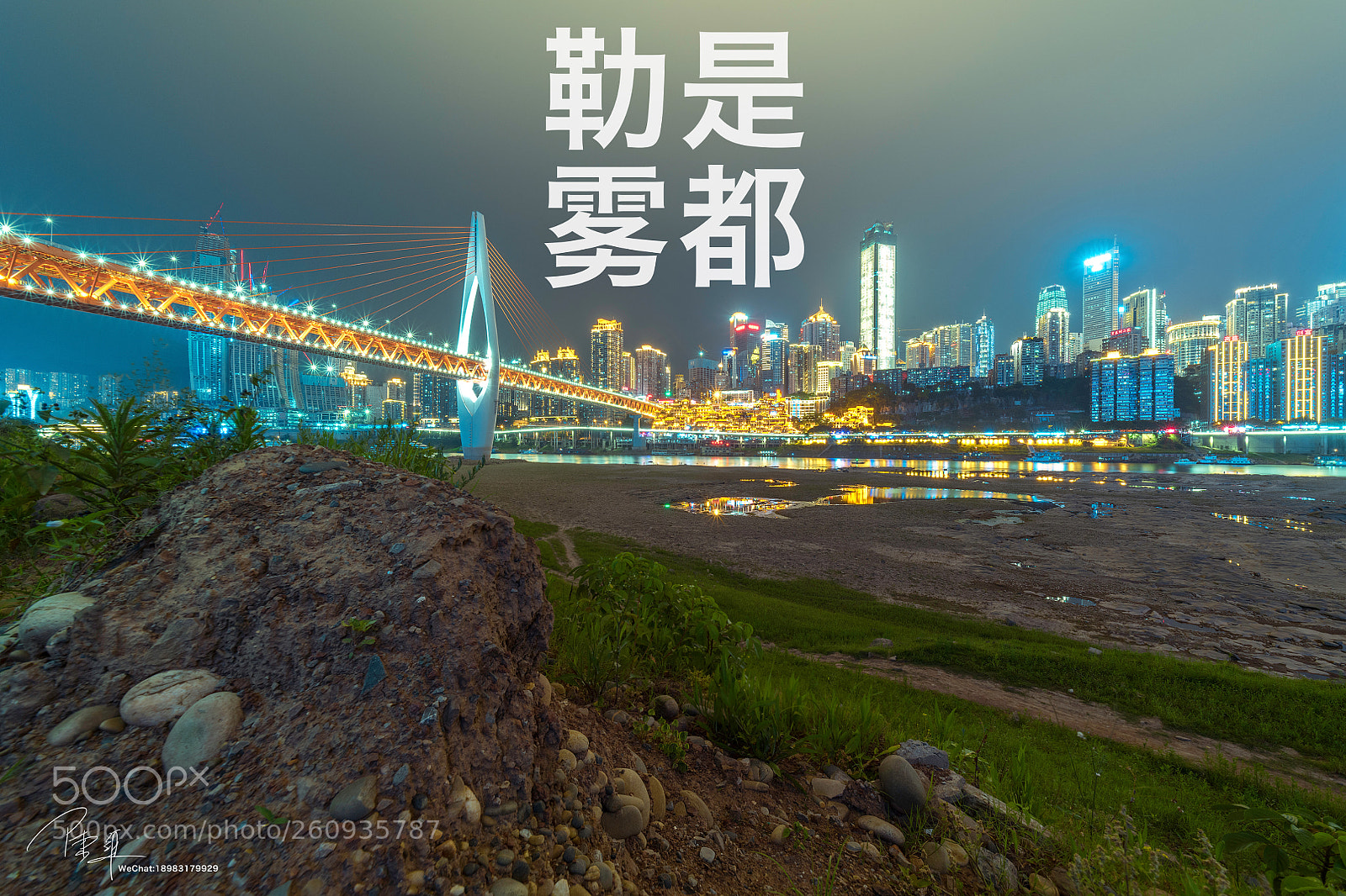 Nikon D850 sample photo. Untitled photography