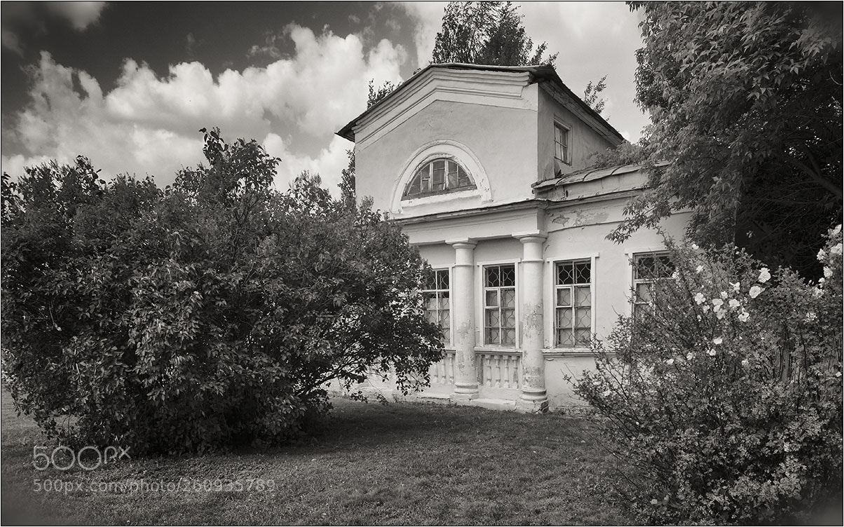 Nikon D850 sample photo. Kolomna photography