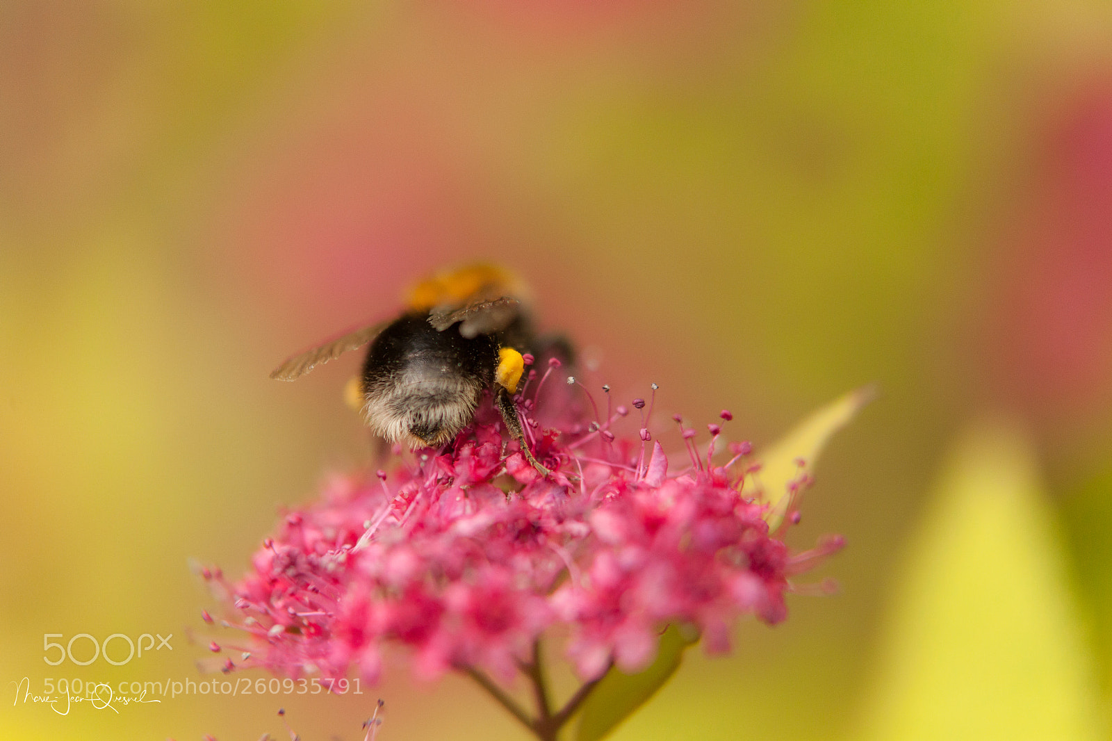 Canon EOS 5D Mark II sample photo. Hummmmmm.......! c'est bon ! photography