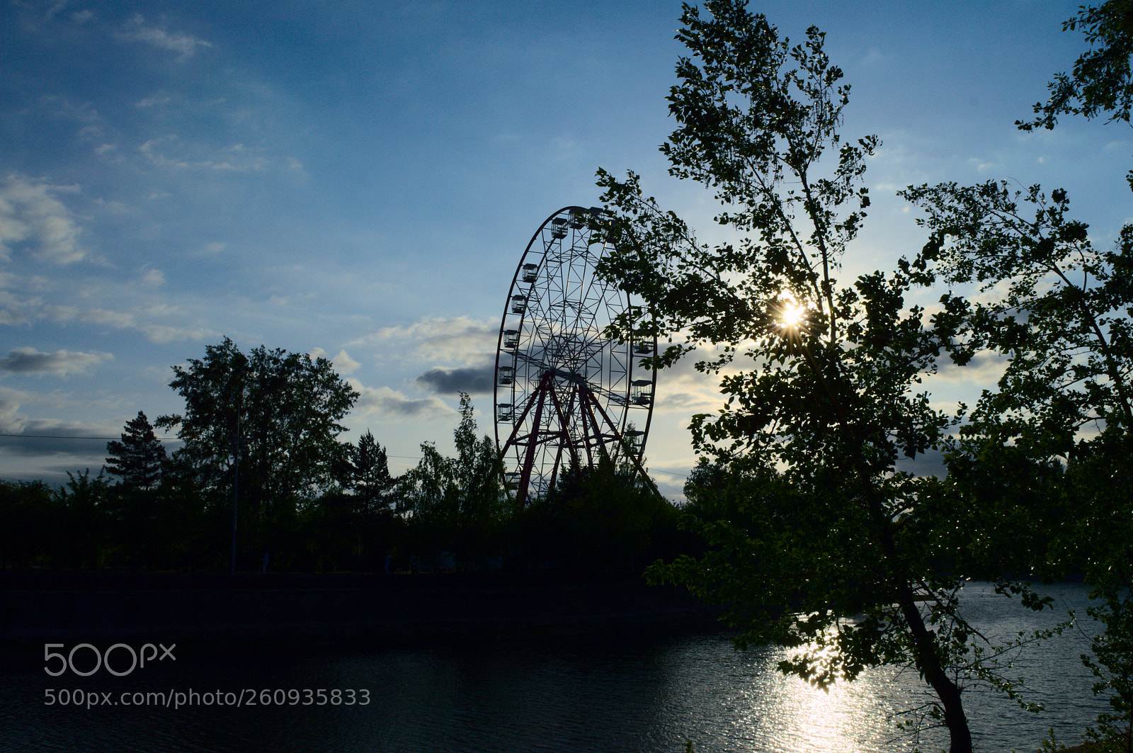 Nikon D3200 sample photo. Городская природа photography