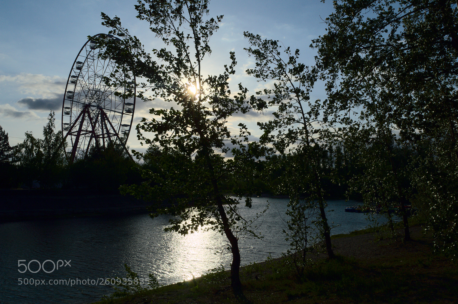 Nikon D3200 sample photo. Городская природа photography