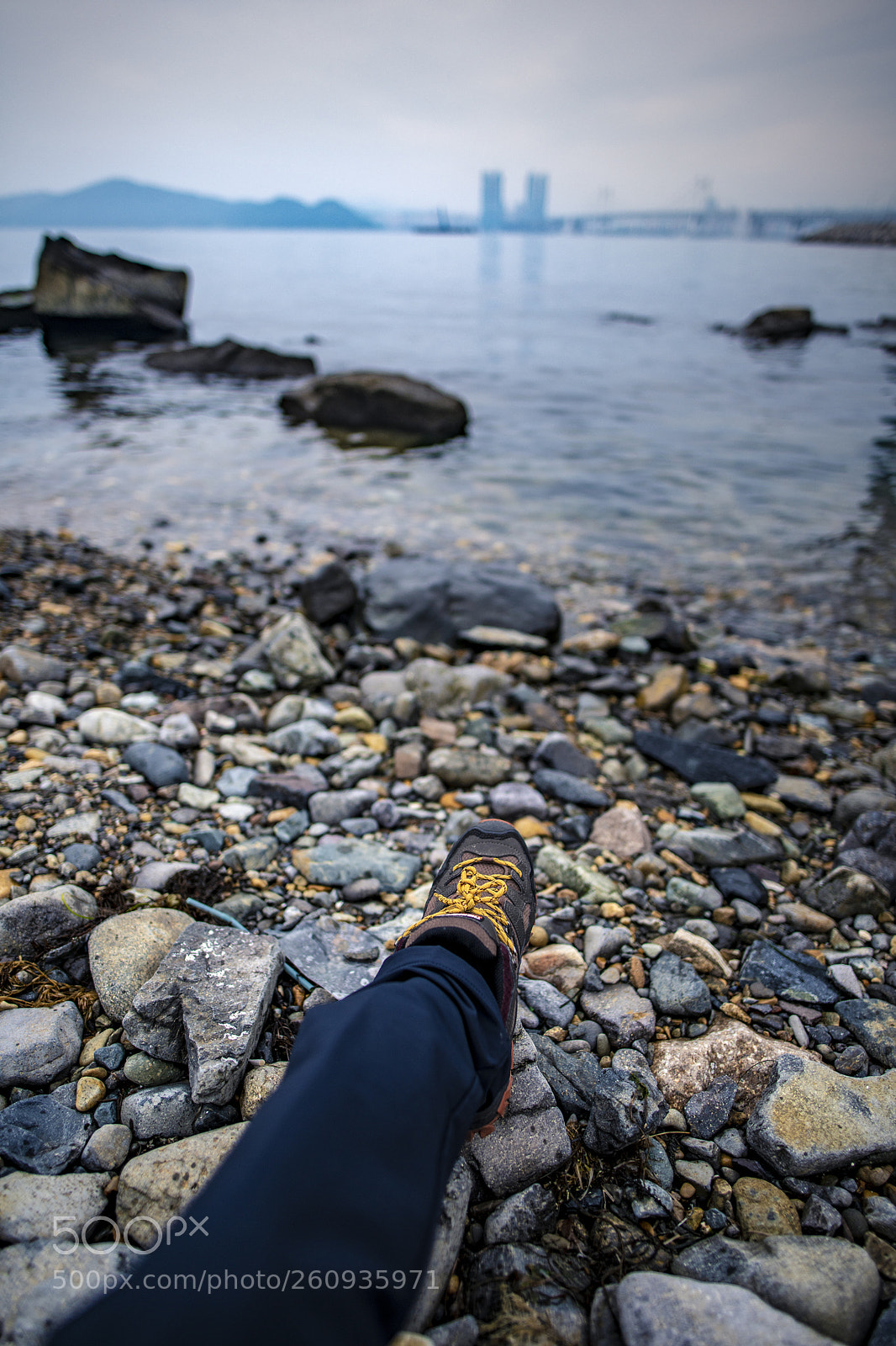Nikon D850 sample photo. Untitled photography