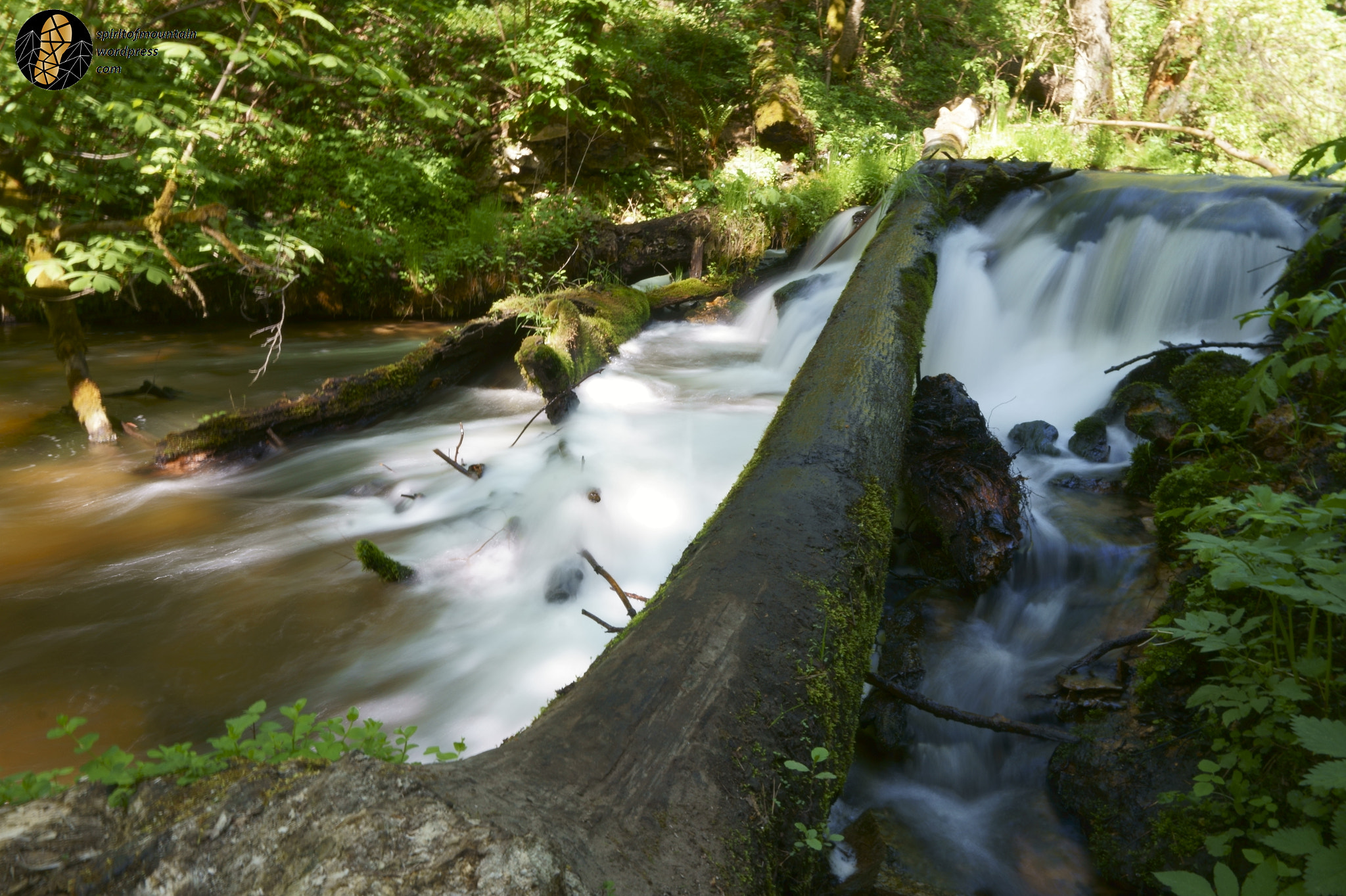 Sony Alpha a5000 (ILCE 5000) sample photo. Waterfall in czartowe pole nature reserve photography