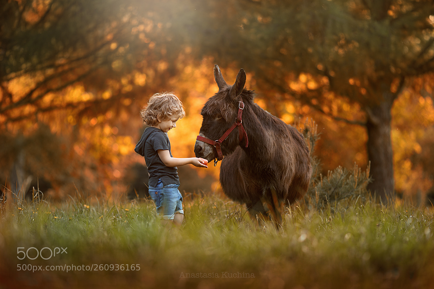 Canon EOS 5D Mark IV sample photo. Animal and child photography