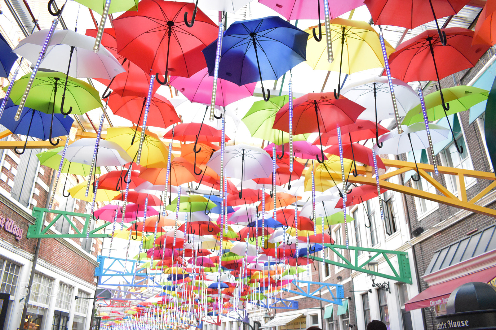 Nikon D5600 sample photo. Umbrella show photography