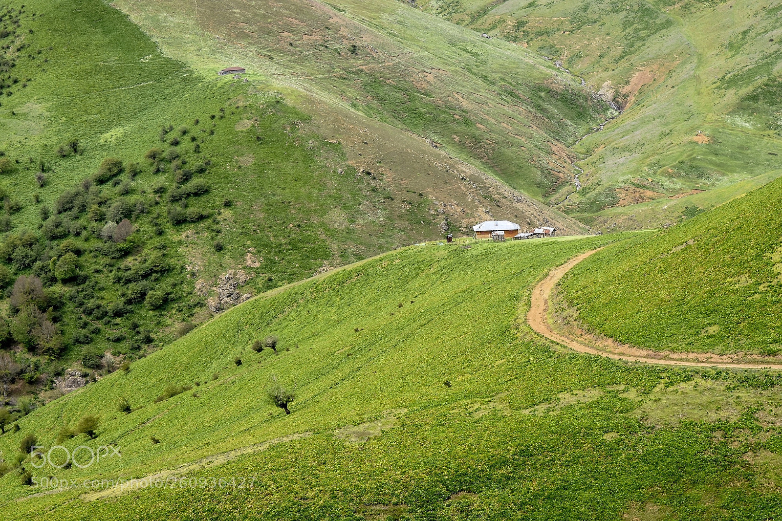 Nikon D7200 sample photo. Living in the mountain  photography