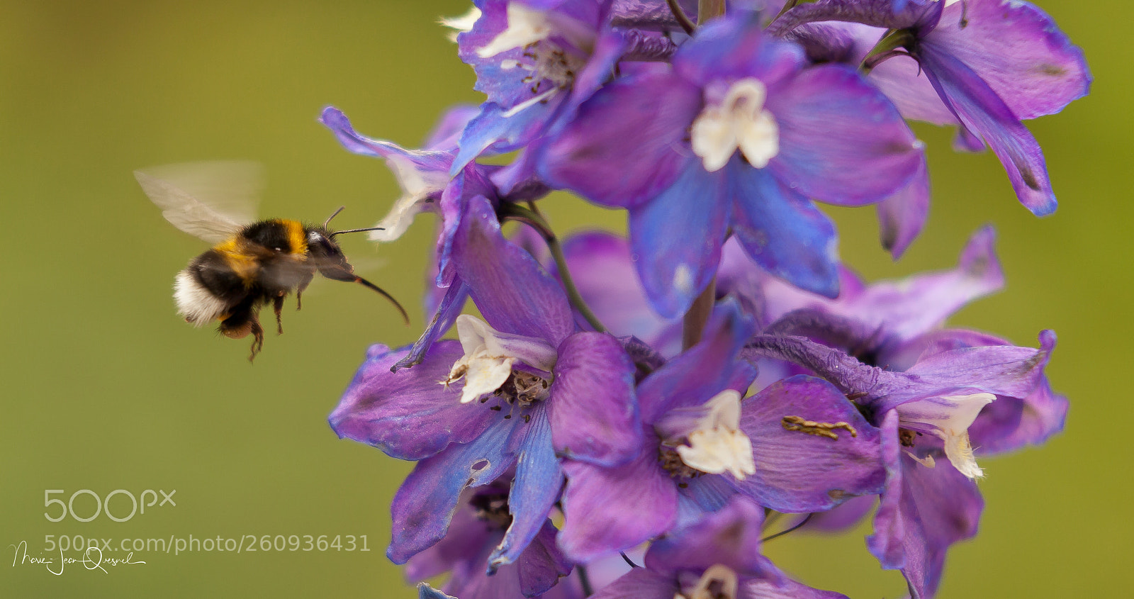 Canon EOS 5D Mark II sample photo. Demande ravitaillement...! photography