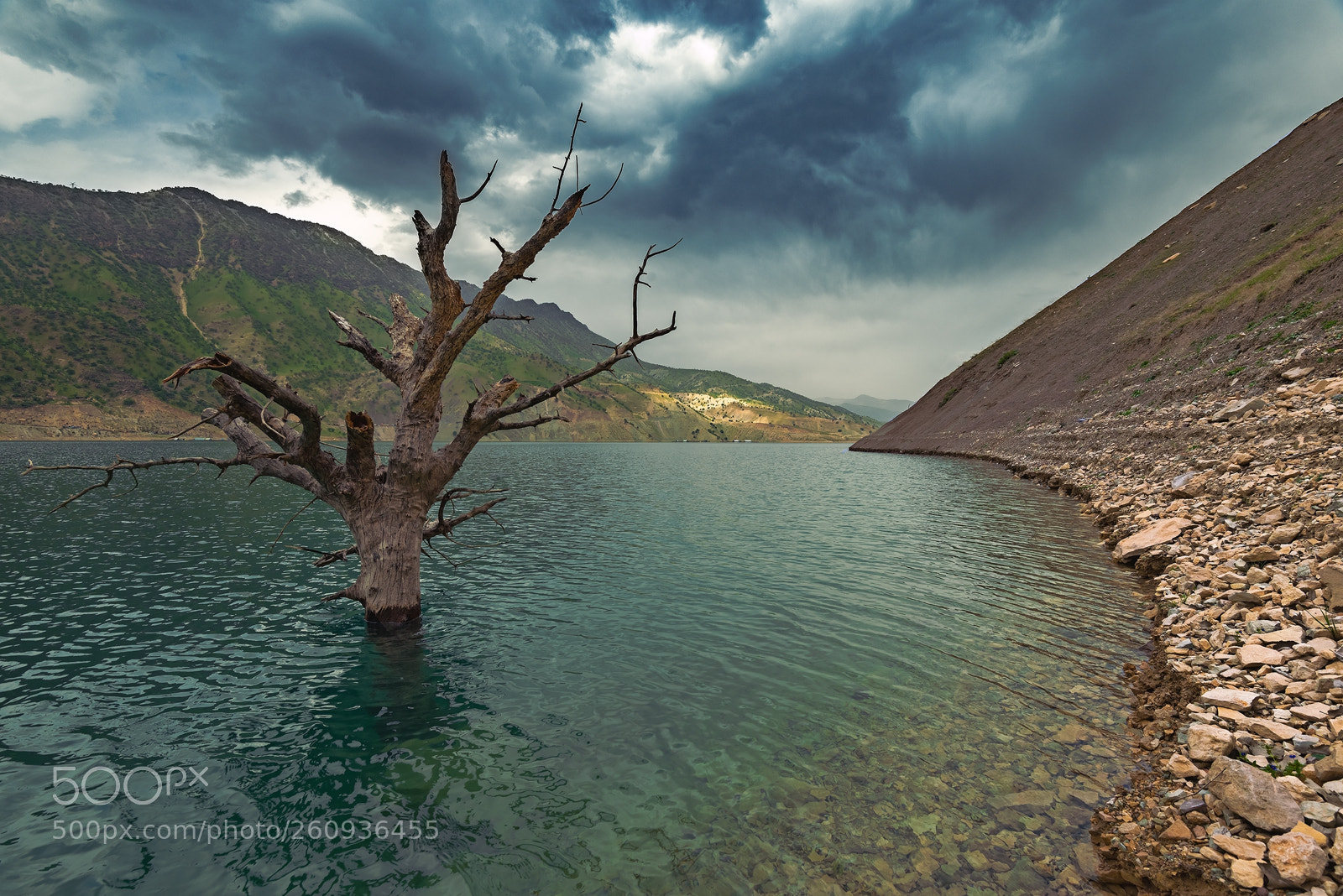 Nikon D810 sample photo. Alone on the lake... photography