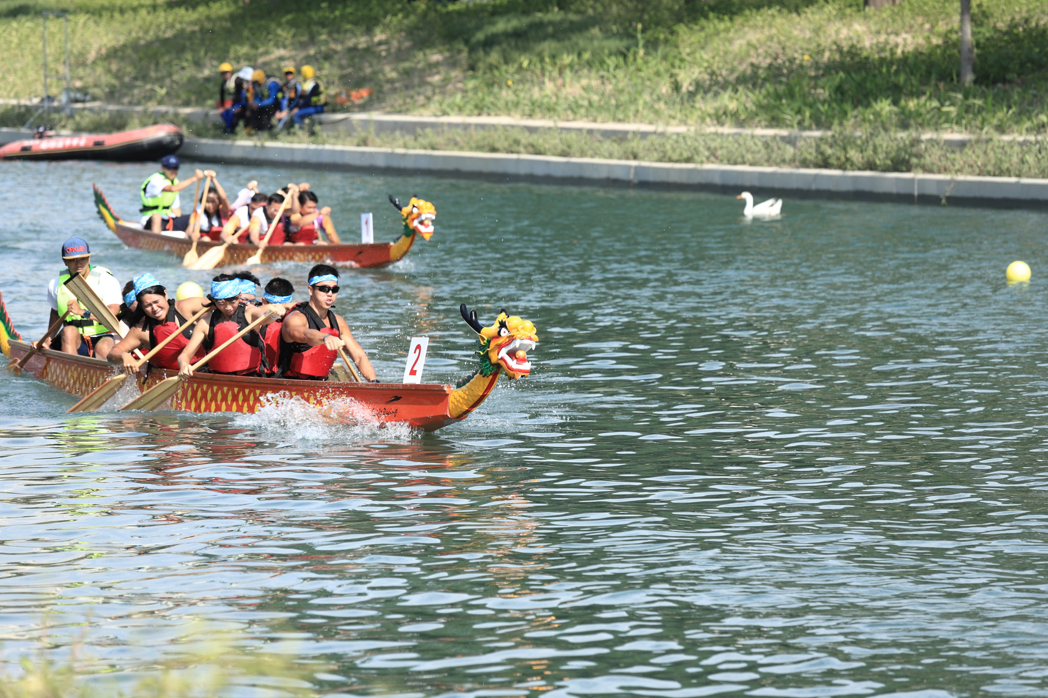 Canon EOS 6D Mark II + Canon EF 70-200mm F4L IS USM sample photo. Img_4749m dragon boat racing. 爬龍船 photography