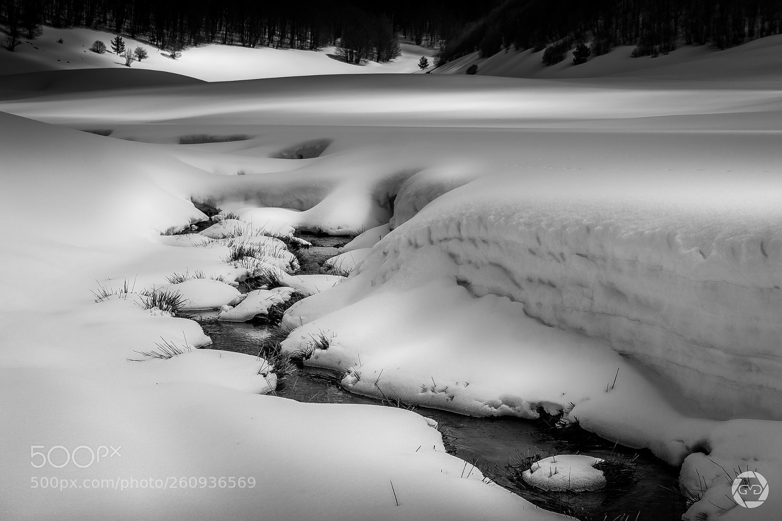 Canon EOS 40D sample photo. Black and white landscape photography