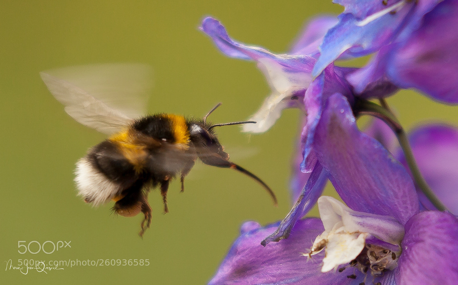 Canon EOS 5D Mark II sample photo. Gros plan ravitaillement photography