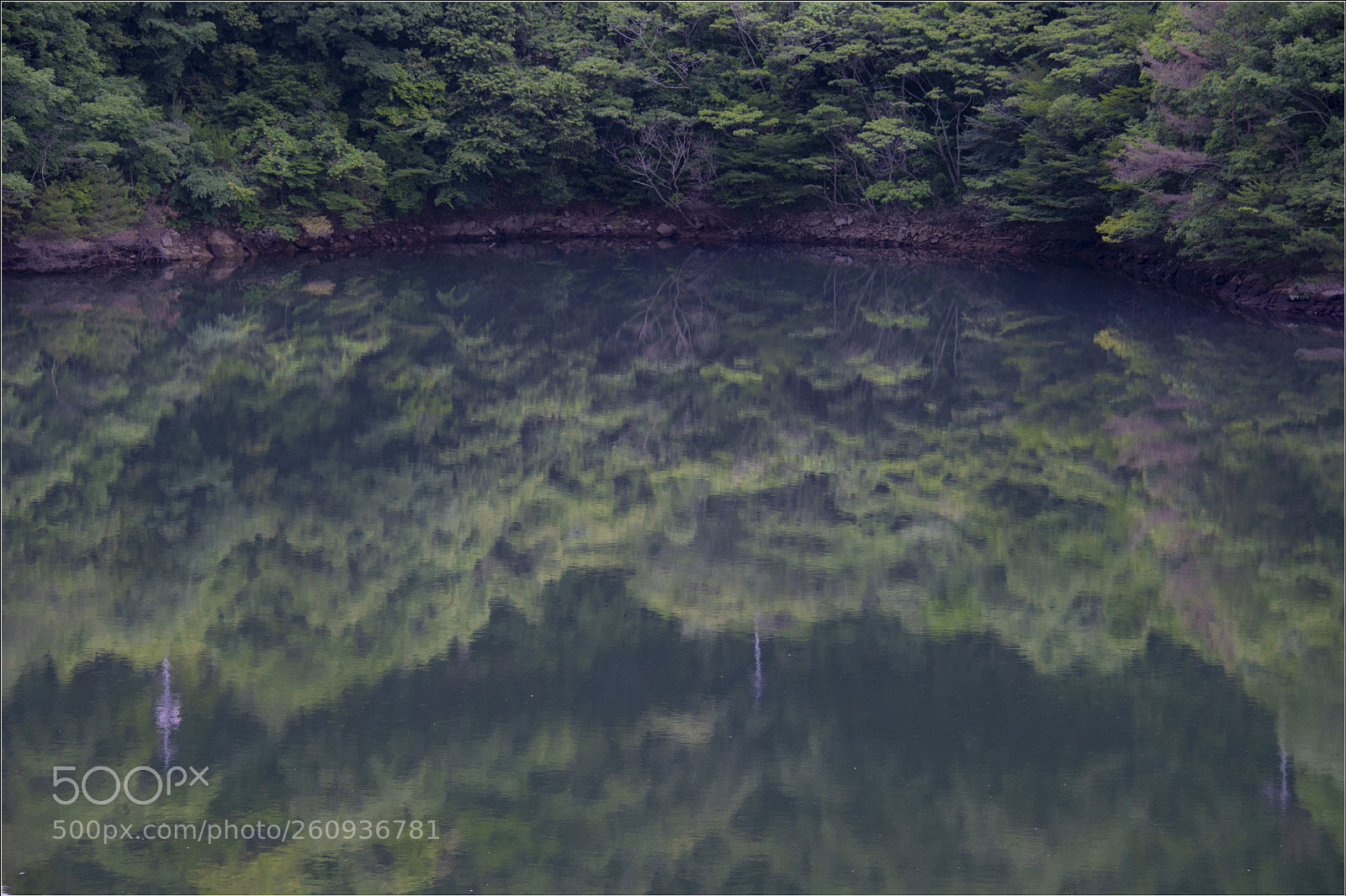 Nikon D5 sample photo. Dam lake：魚切ダム photography