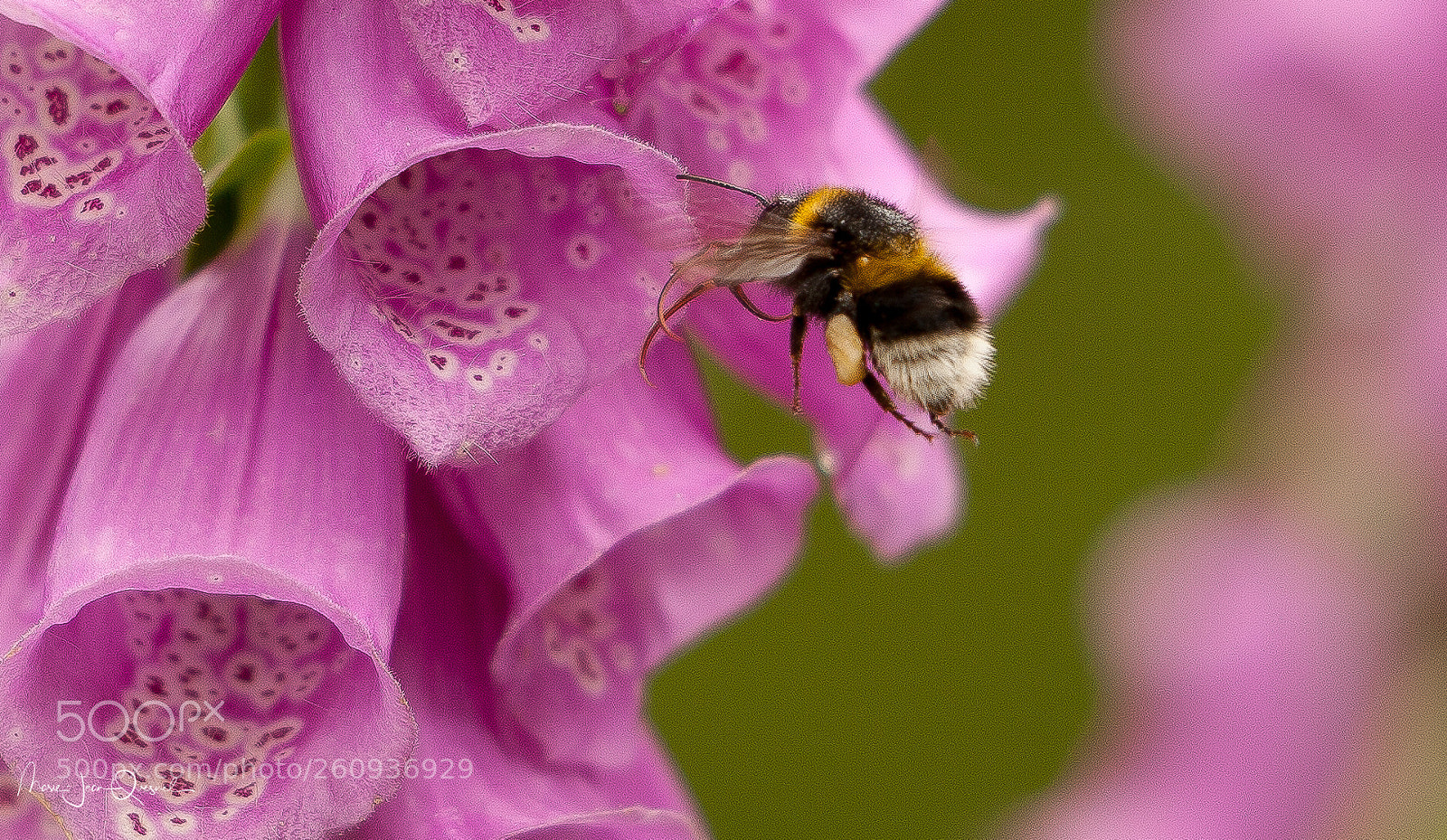 Canon EOS 5D Mark II sample photo. Visite inspection. photography