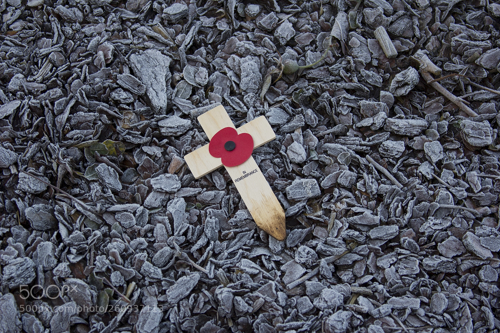 Canon EOS 550D (EOS Rebel T2i / EOS Kiss X4) sample photo. Remembrance cross photography