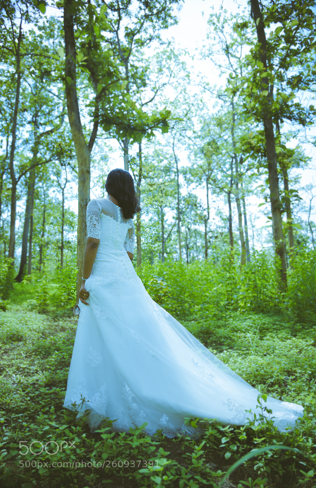 Nikon D810 sample photo. Follow photography