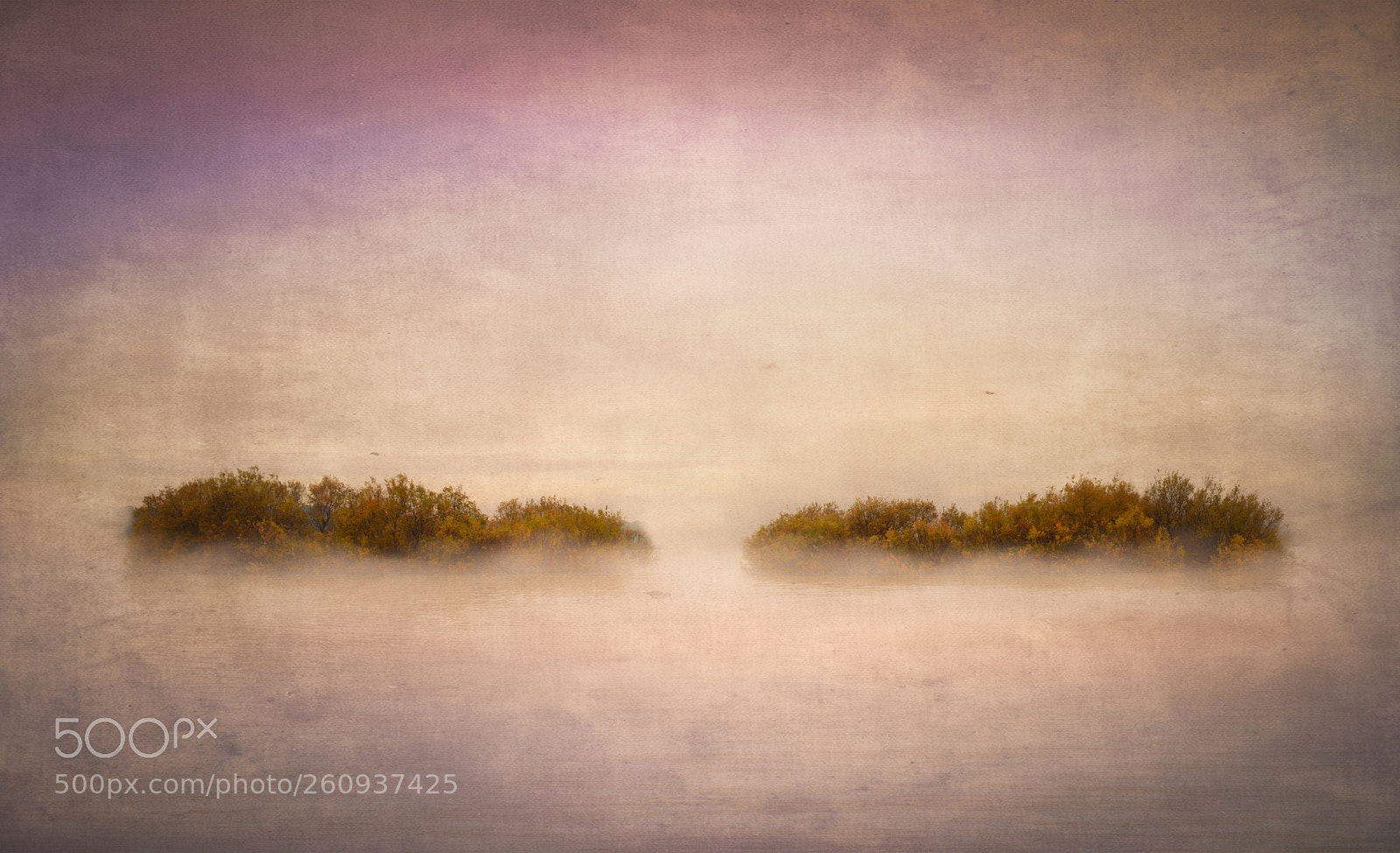 Nikon D800 sample photo. Fog photography