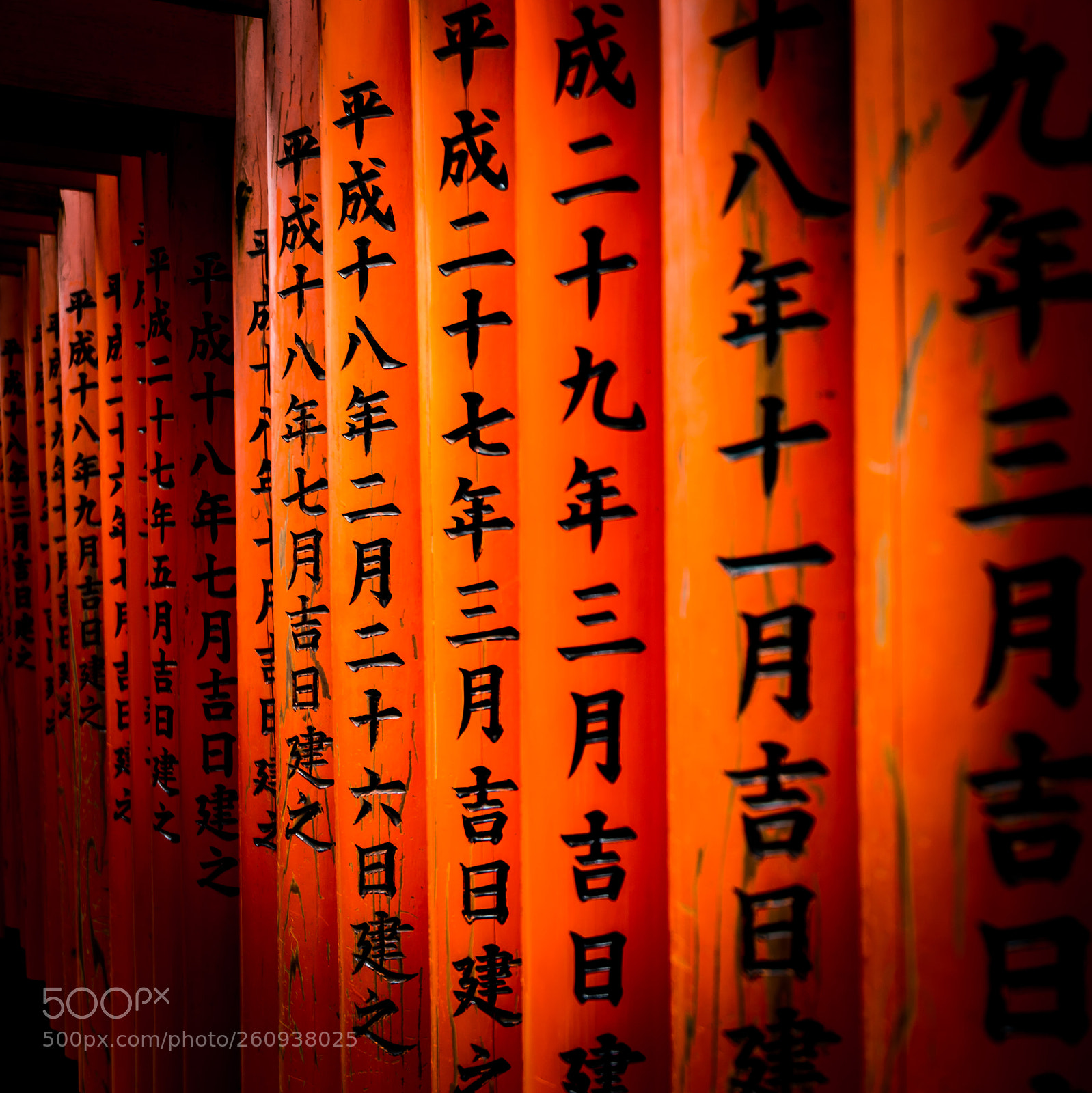 Nikon D610 sample photo. Fushimi-inari photography