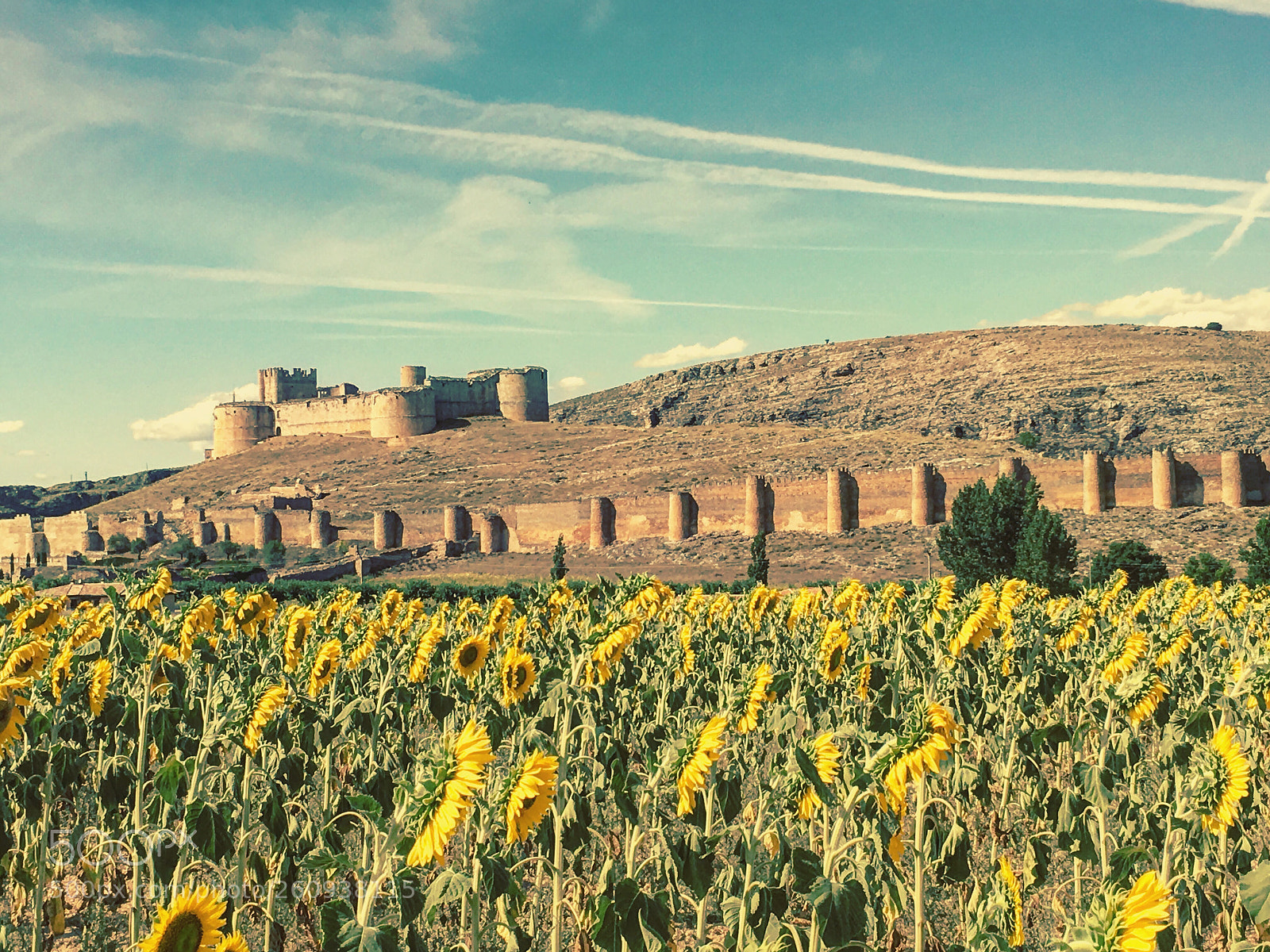 Apple iPhone SE sample photo. Castillo de berlanga de photography