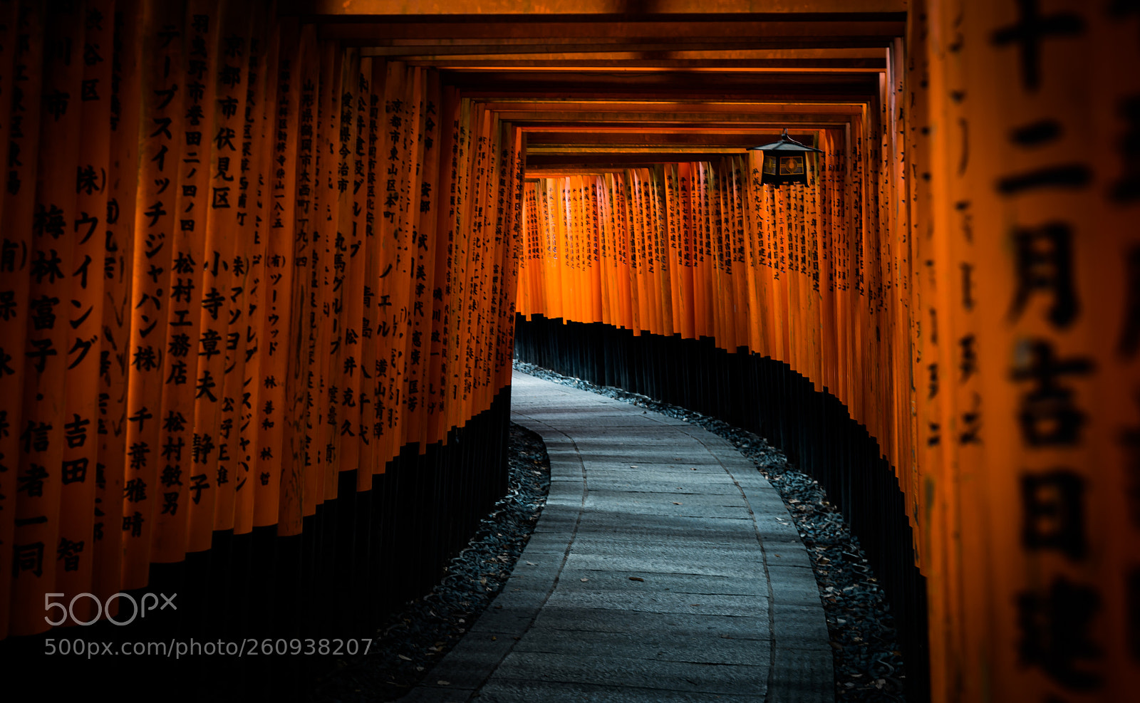 Nikon D610 sample photo. Fushimi-inari photography