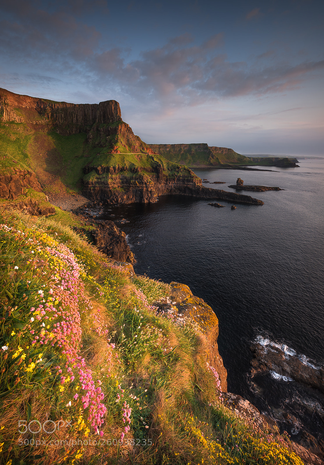 Nikon D810 sample photo. Giant's causeway photography