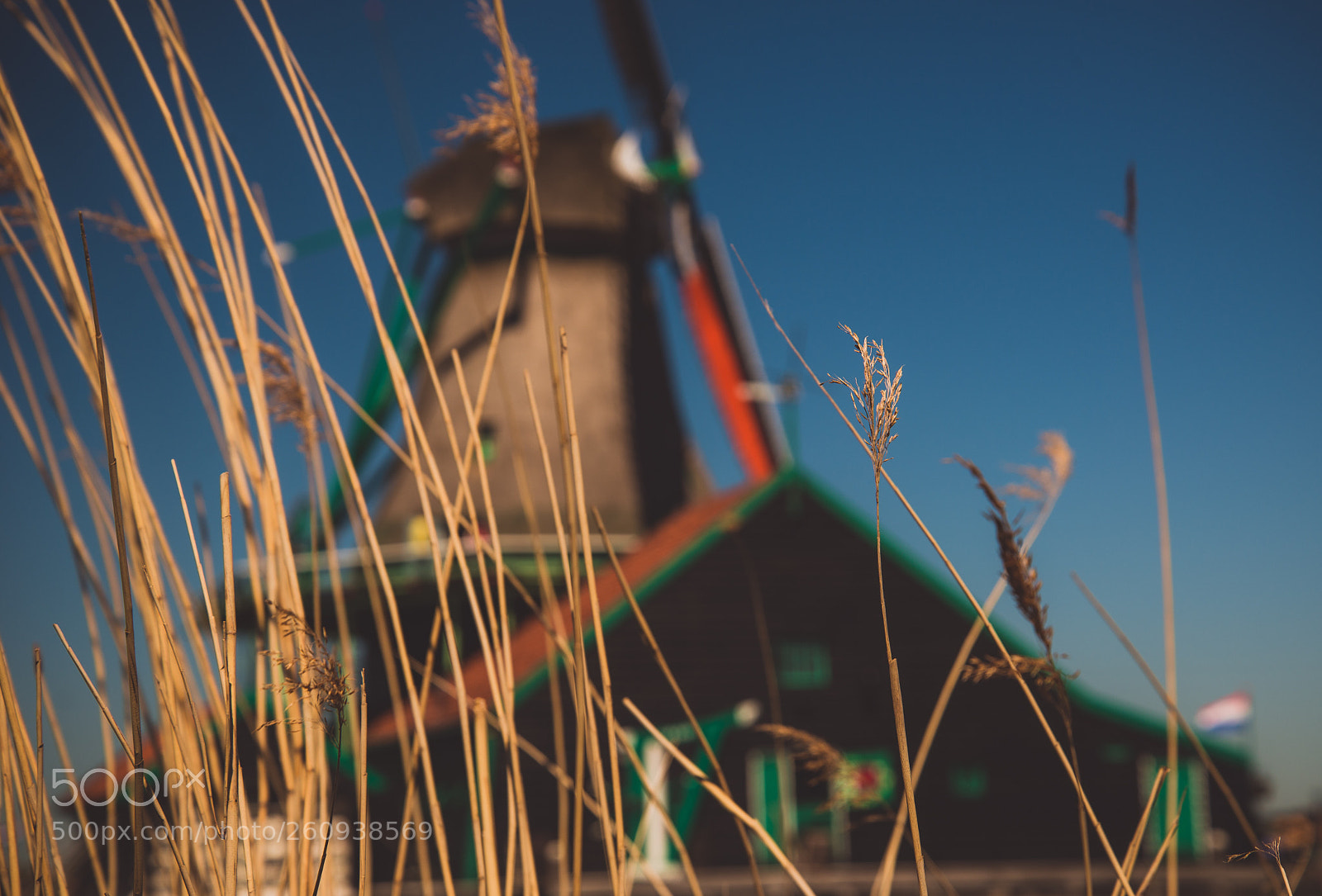 Nikon D610 sample photo. Untitled photography
