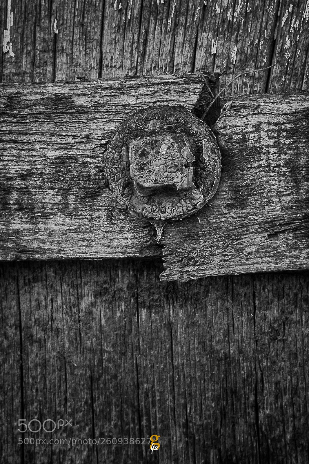 Canon EOS 550D (EOS Rebel T2i / EOS Kiss X4) sample photo. Decadencia  photography