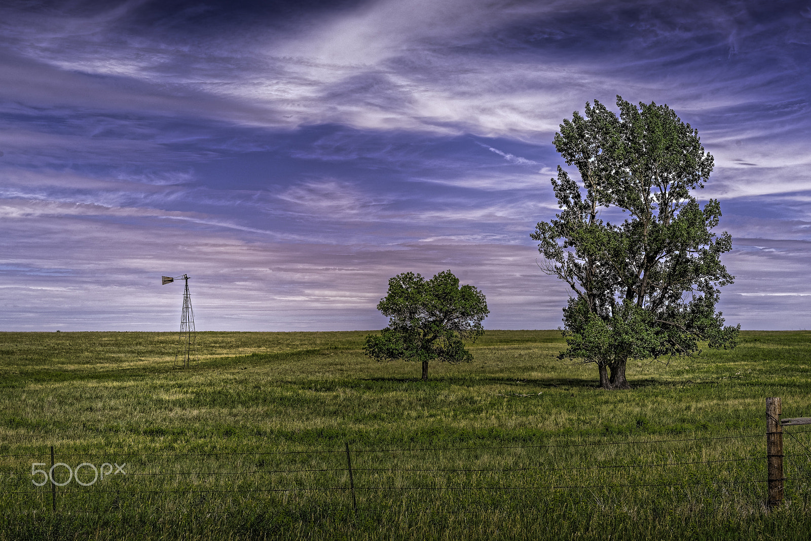 Nikon D750 sample photo. Nd field and trees photography