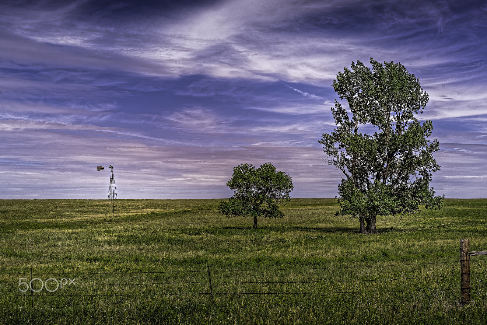 Nikon AF-S Nikkor 24-70mm F2.8G ED sample photo. Nd field and trees photography