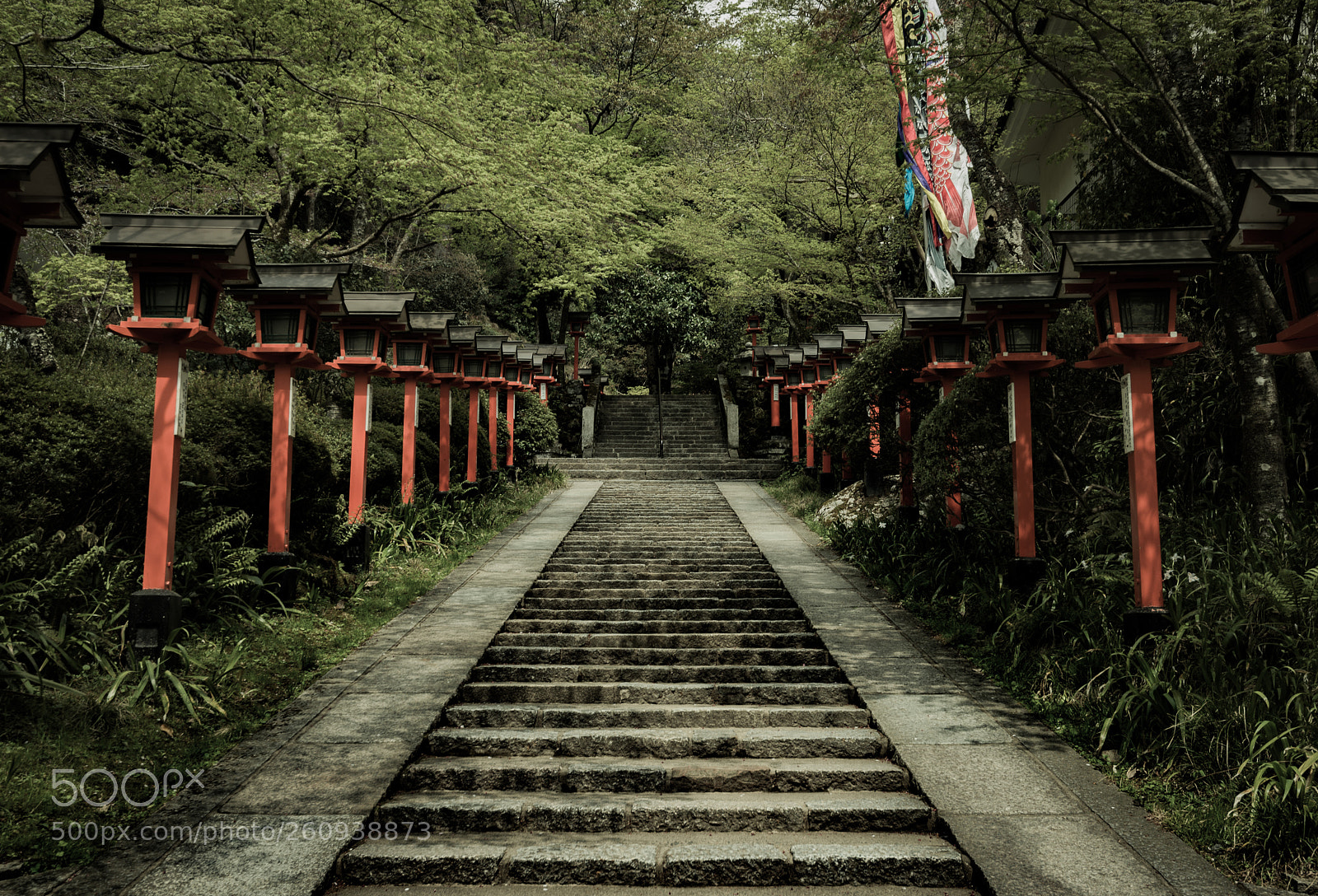 Nikon D610 sample photo. Mt. kurama shrine entrance photography