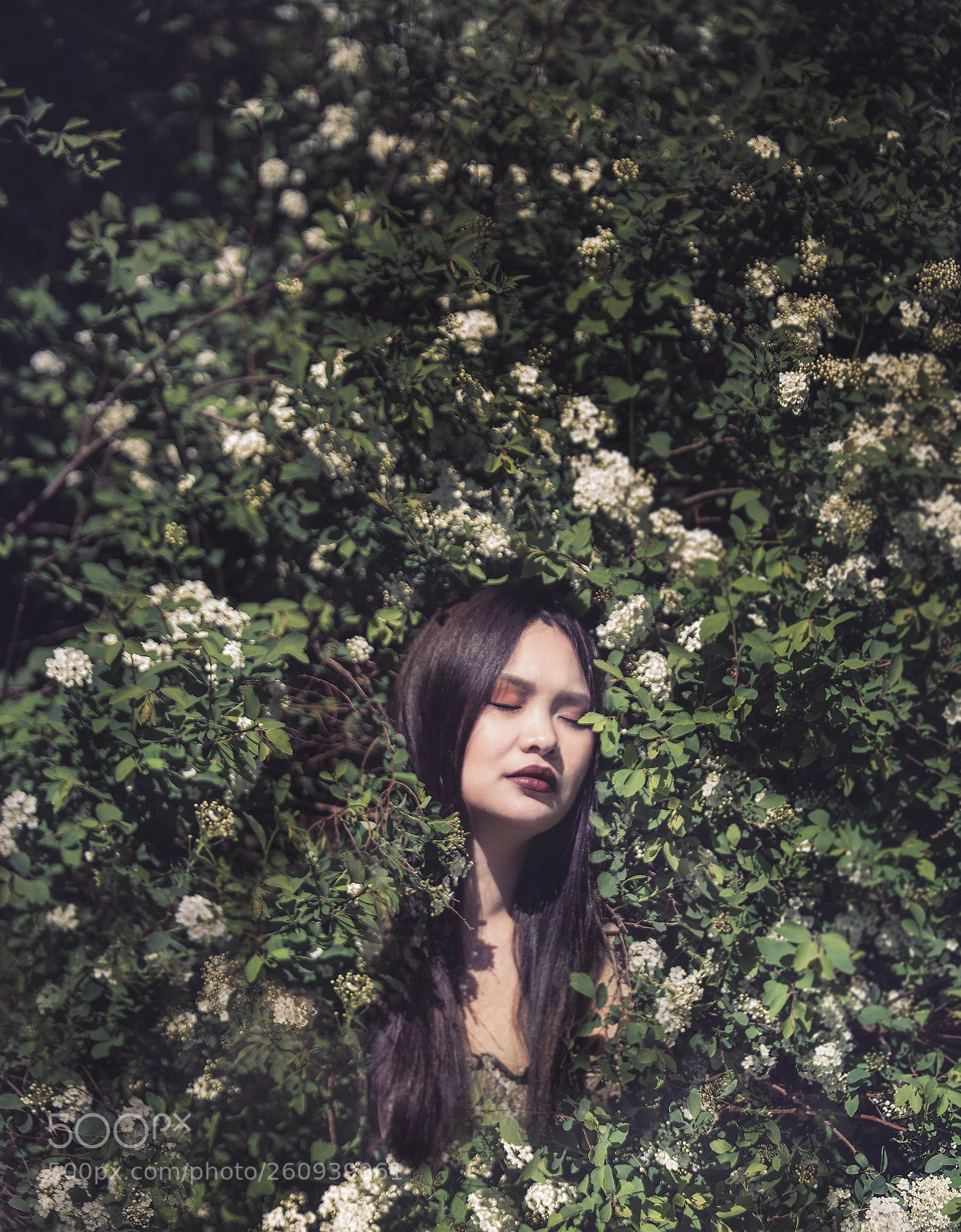 Canon EOS 6D sample photo. Aurora in daylight photography