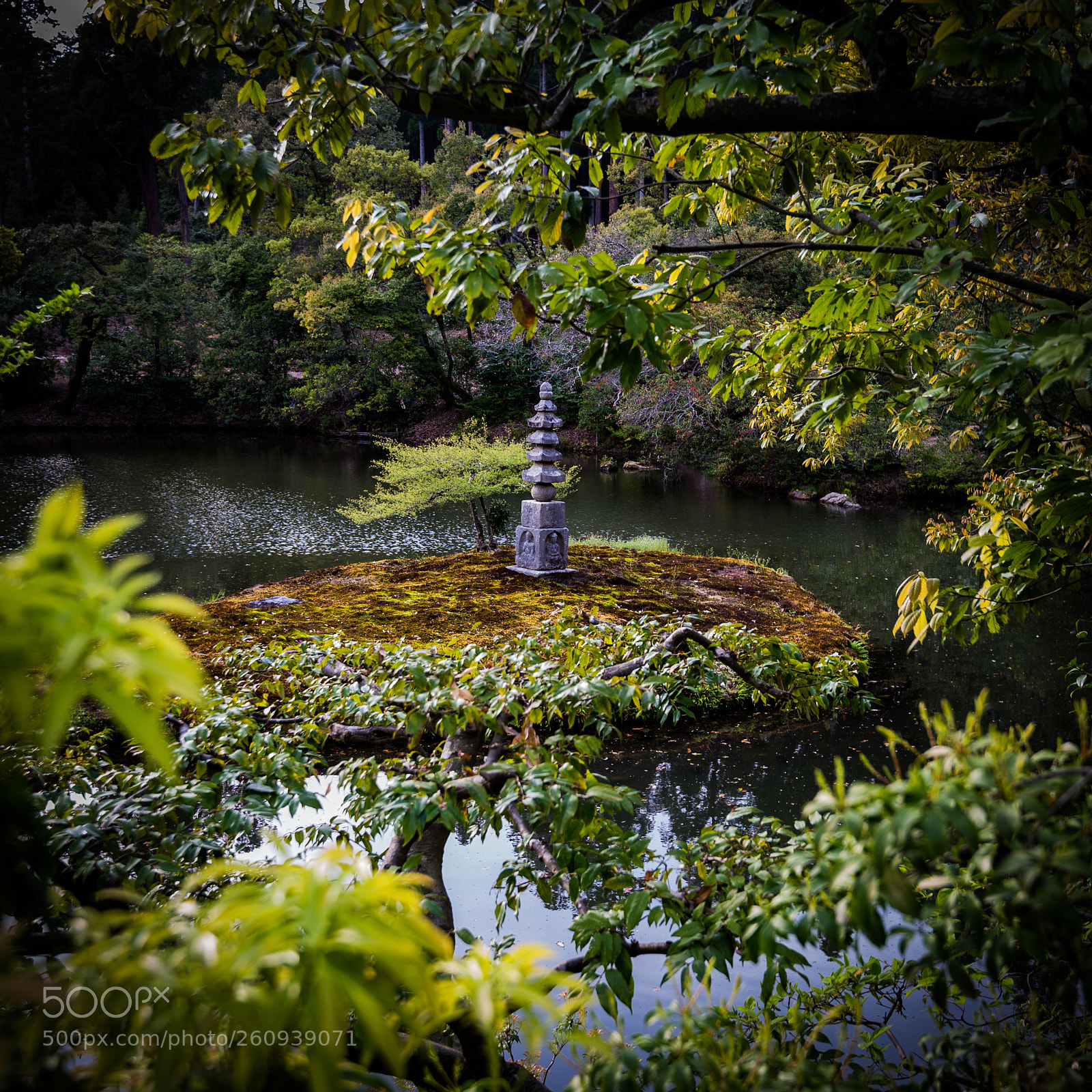 Nikon D610 sample photo. Island photography