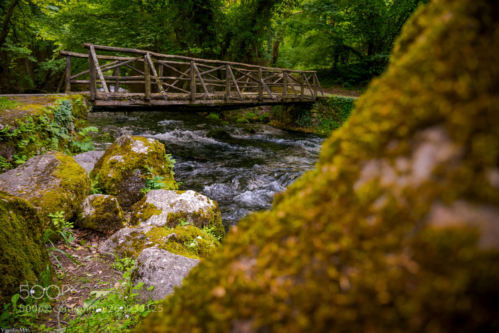 Nikon D610 sample photo. "fairy tales..." photography