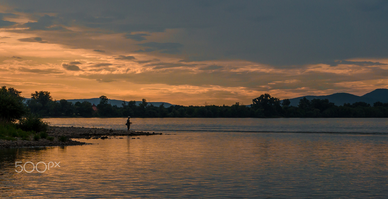 Sony Alpha a5000 (ILCE 5000) sample photo. Orange fishing photography