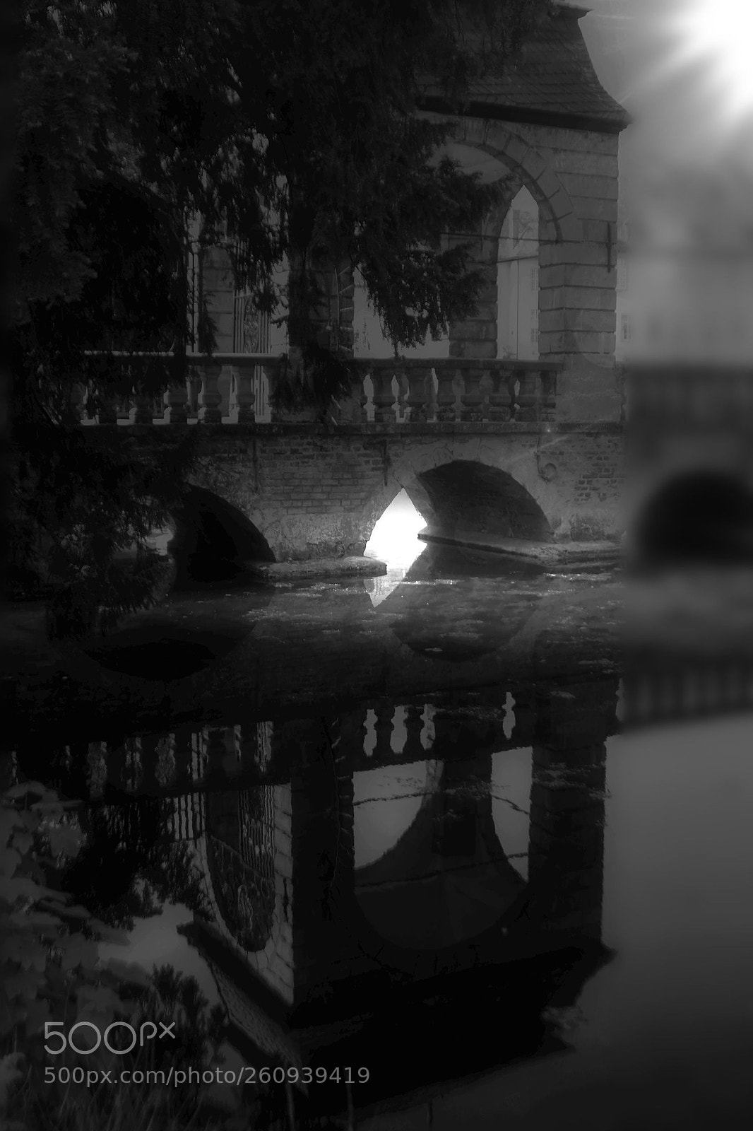 Nikon D500 sample photo. Schloss dyck photography