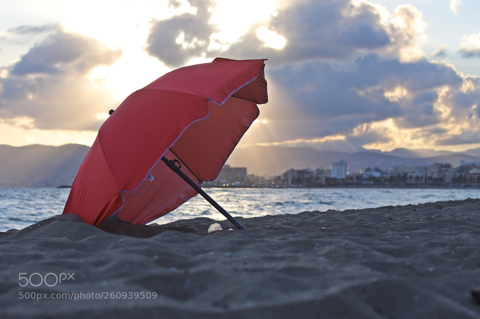 Canon EOS 6D Mark II sample photo. Untitled photography