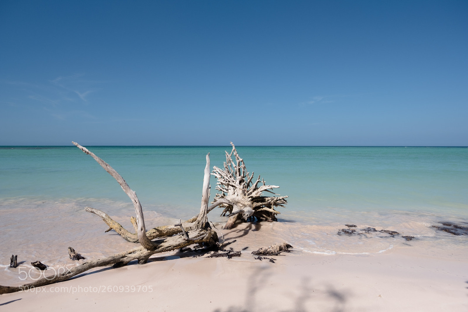 Fujifilm X-Pro2 sample photo. Cayo jutías photography