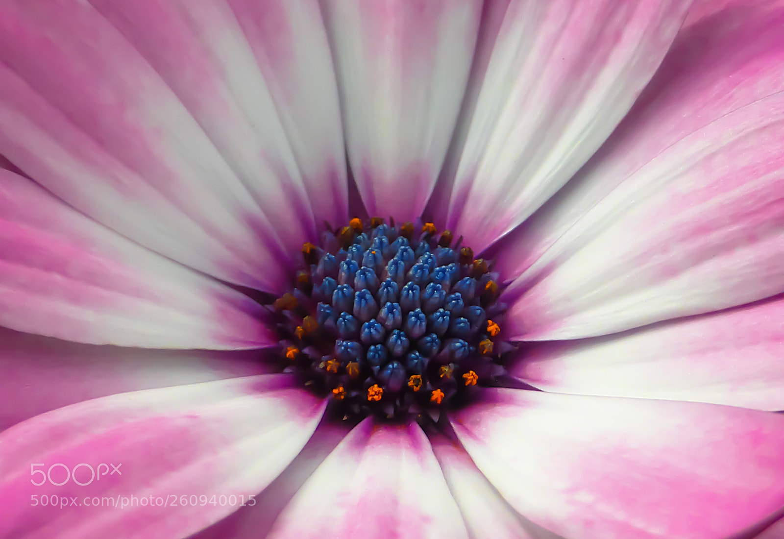 Panasonic Lumix DMC-ZS30 (Lumix DMC-TZ40) sample photo. Nature art photography