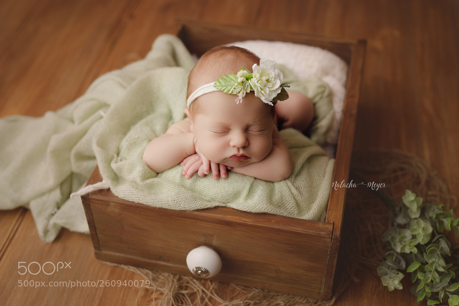 Canon EOS 5D Mark IV sample photo. Adaline photography