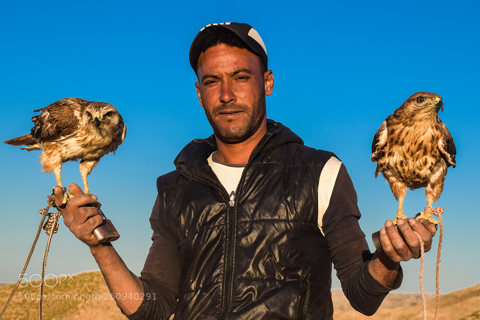 Nikon D3300 sample photo. Eagles breeder photography
