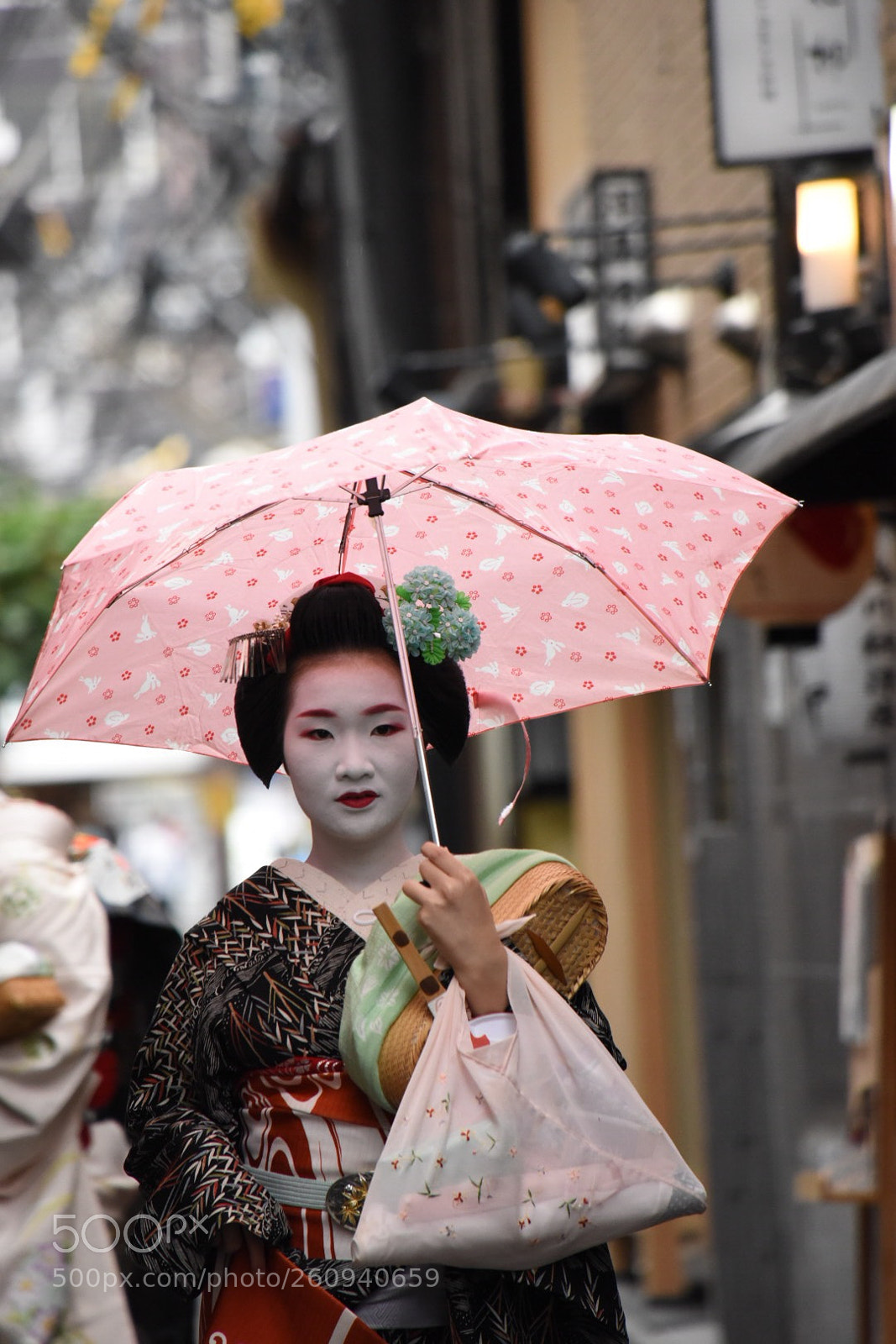 Nikon D750 sample photo. Geisha photography