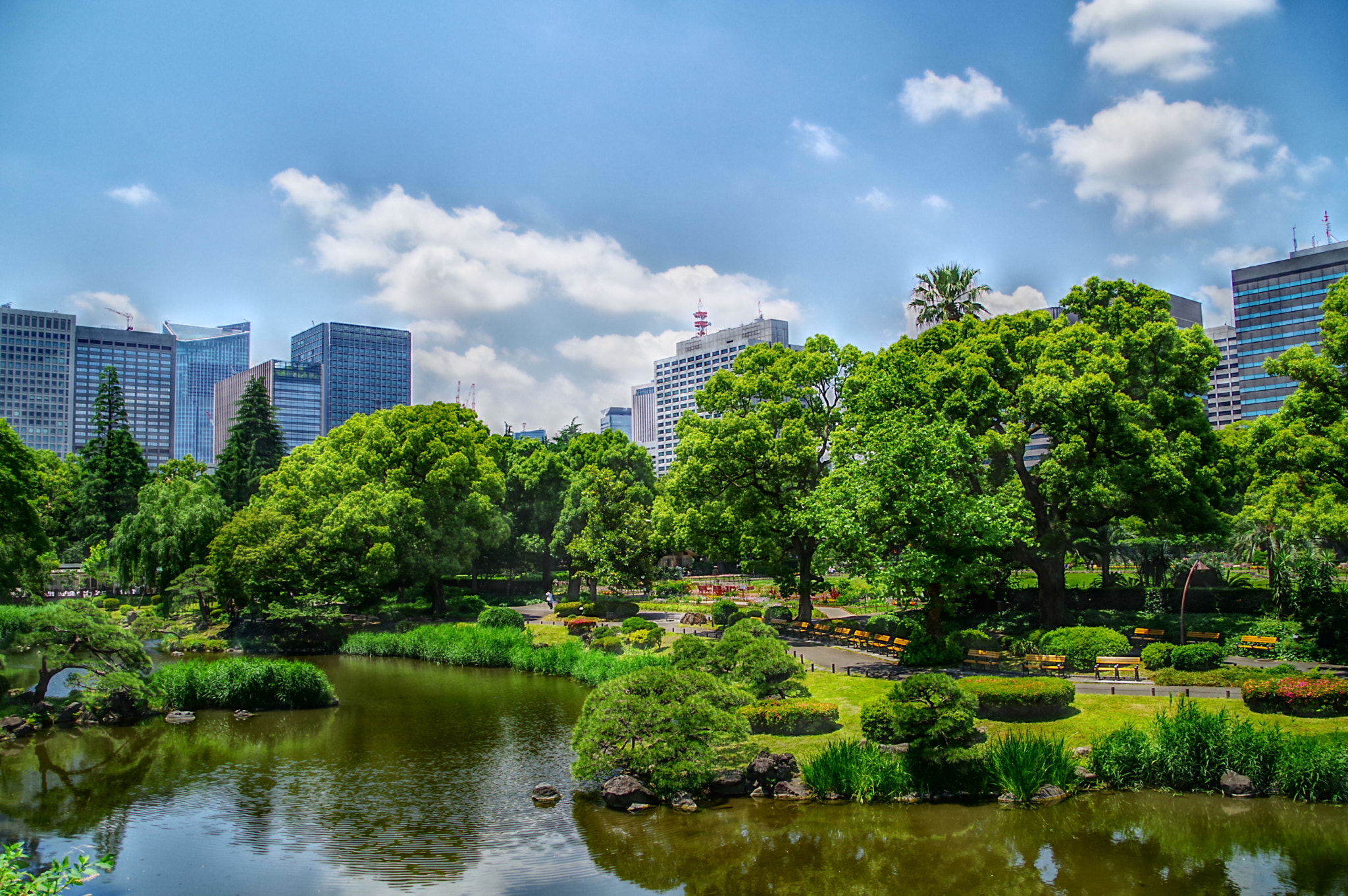 Pentax KP sample photo. Hibiya park photography