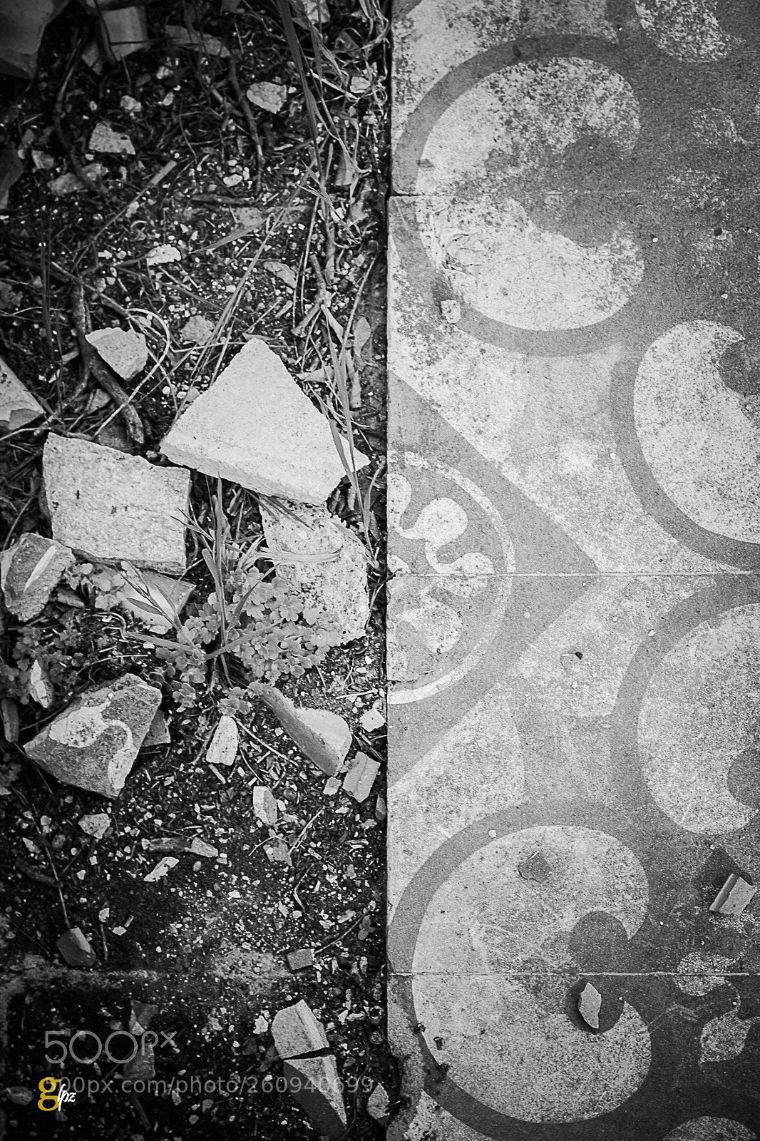 Canon EOS 550D (EOS Rebel T2i / EOS Kiss X4) sample photo. La huella del tiempo  photography